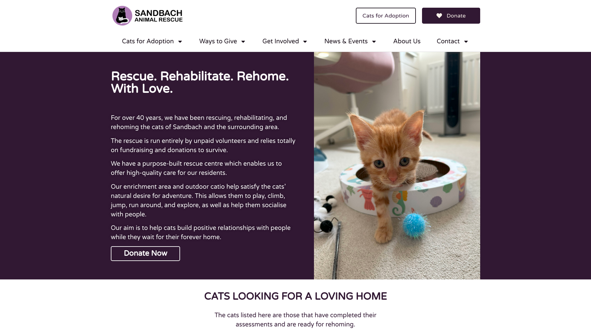 Website screenshot