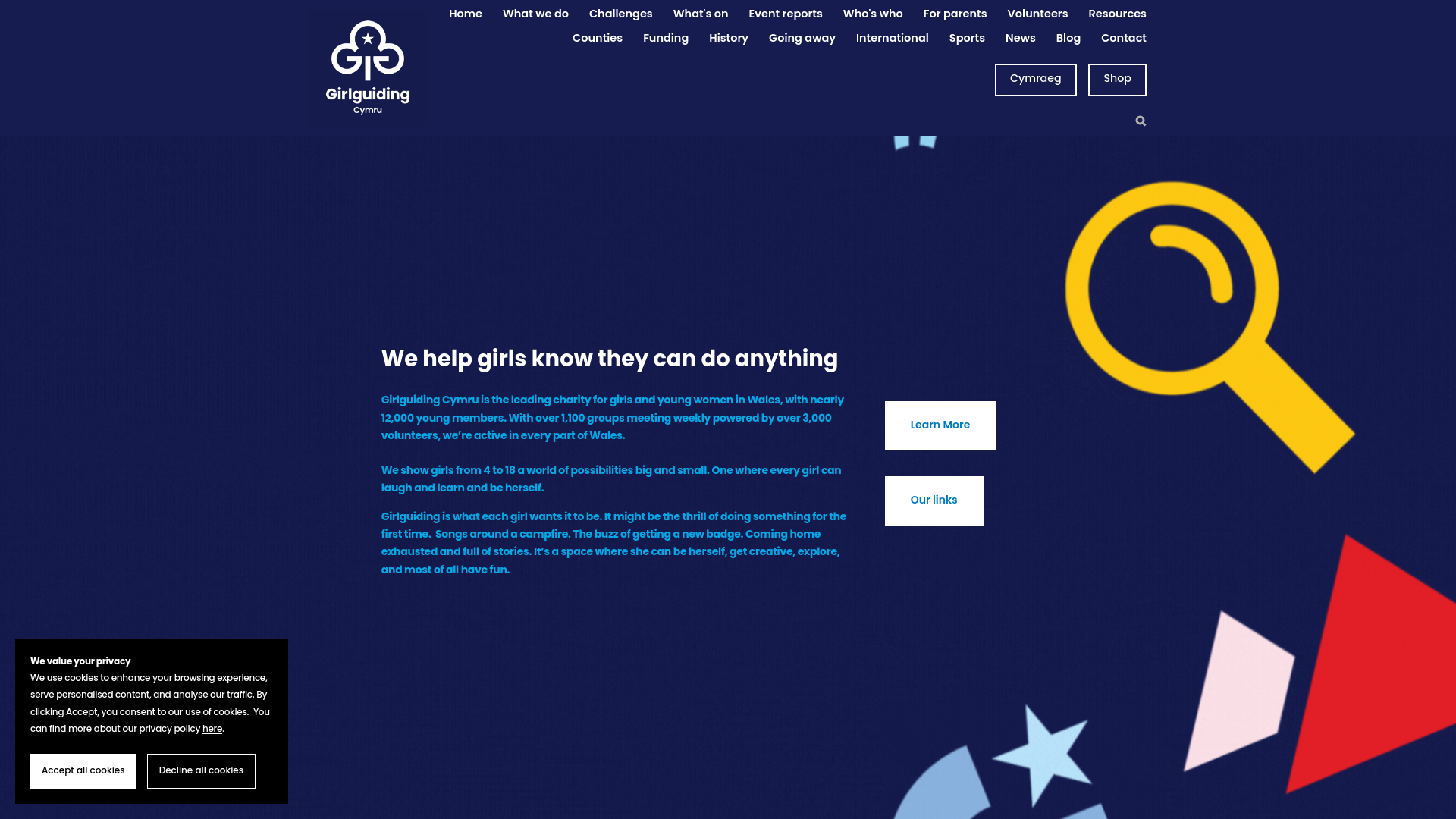 Website screenshot