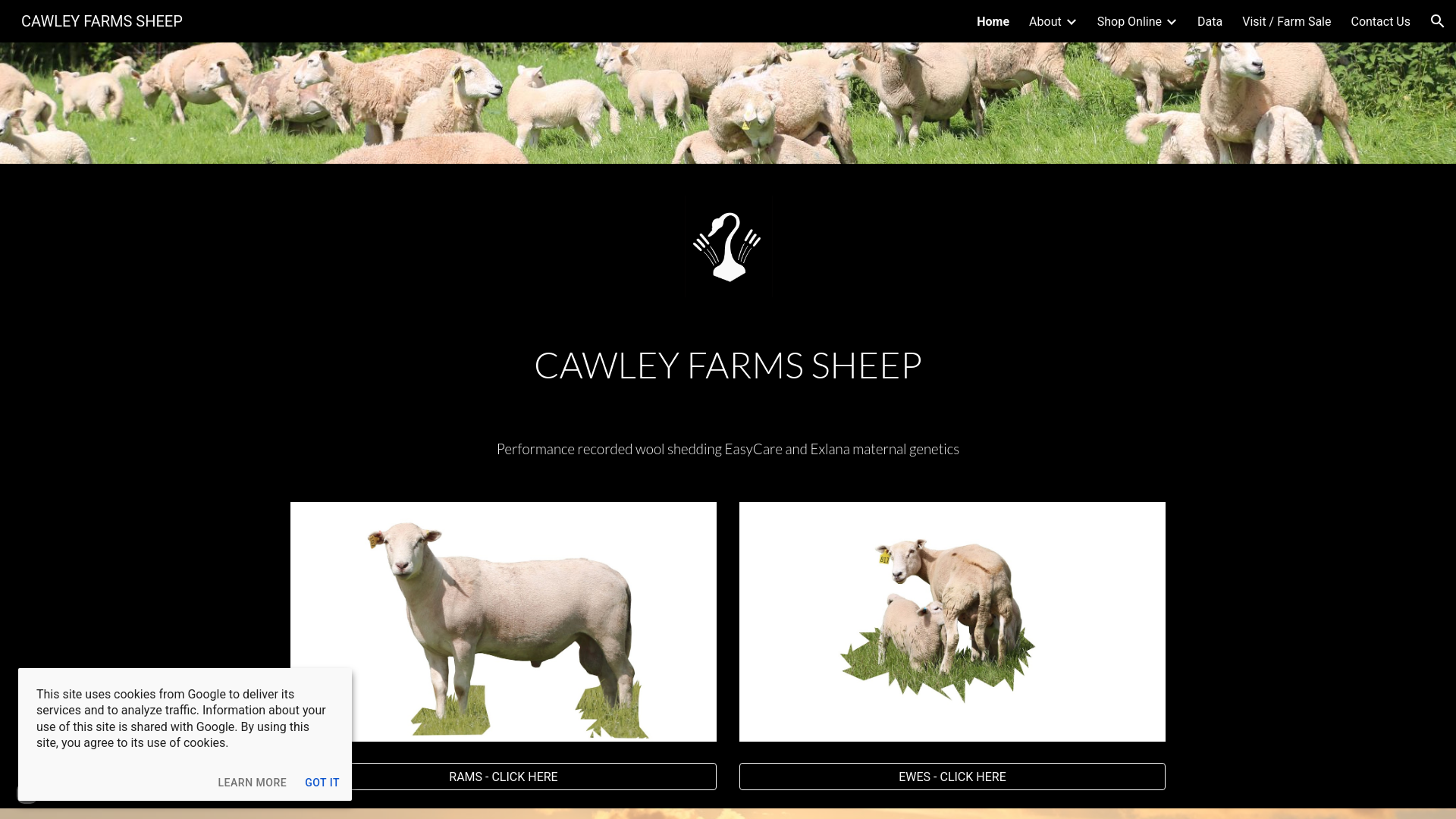Website screenshot