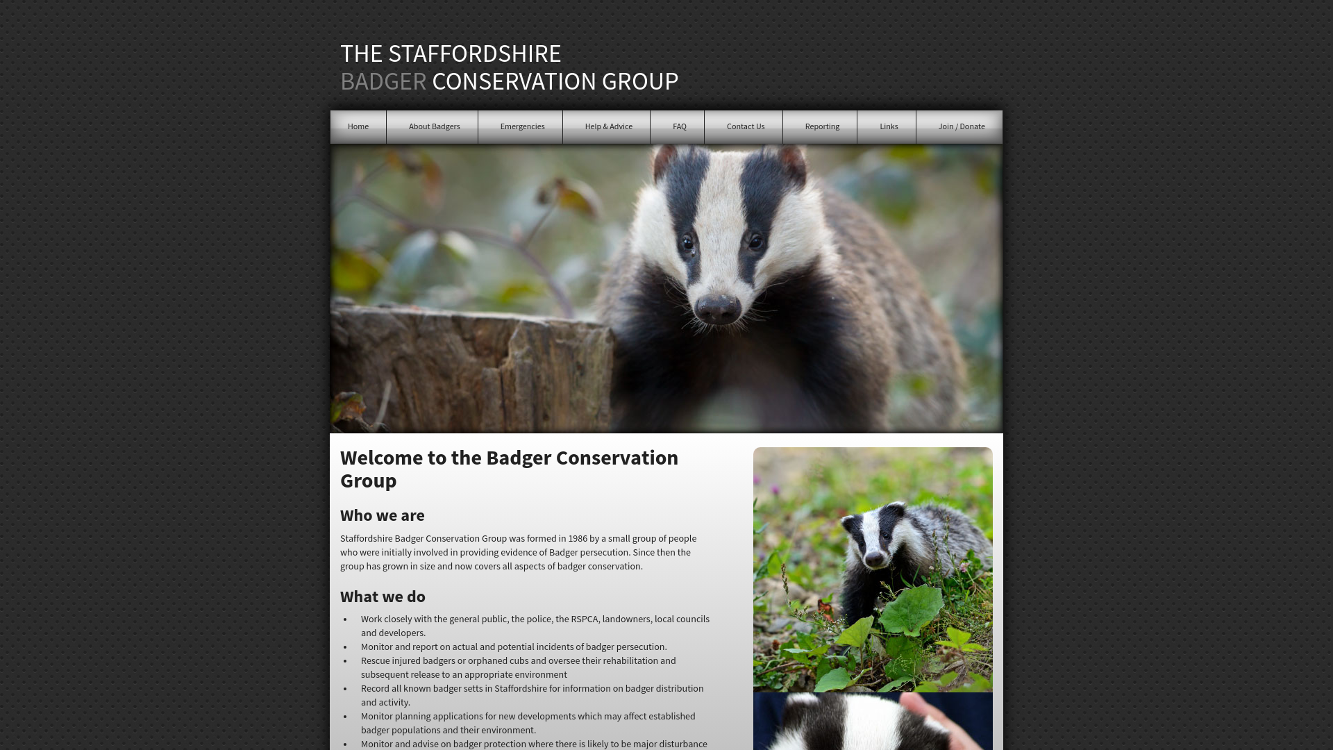 Website screenshot