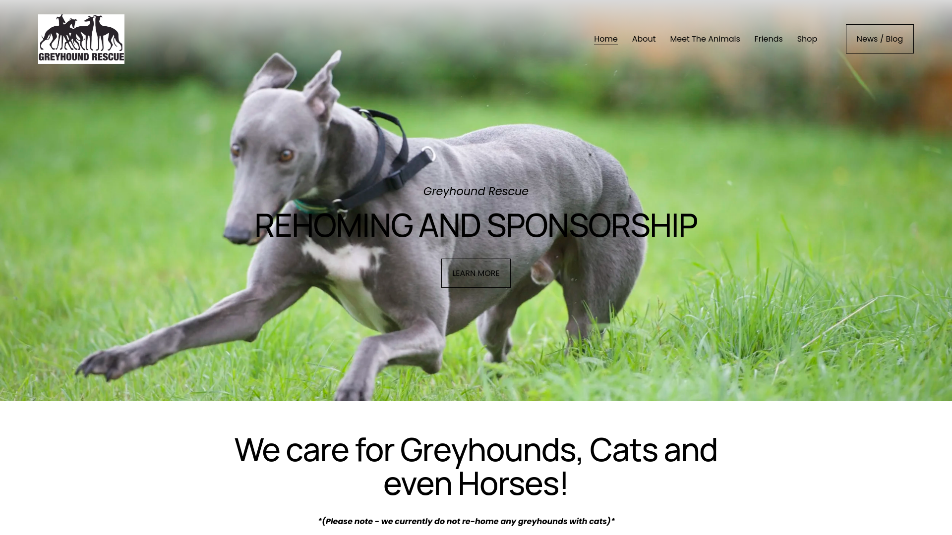 Website screenshot