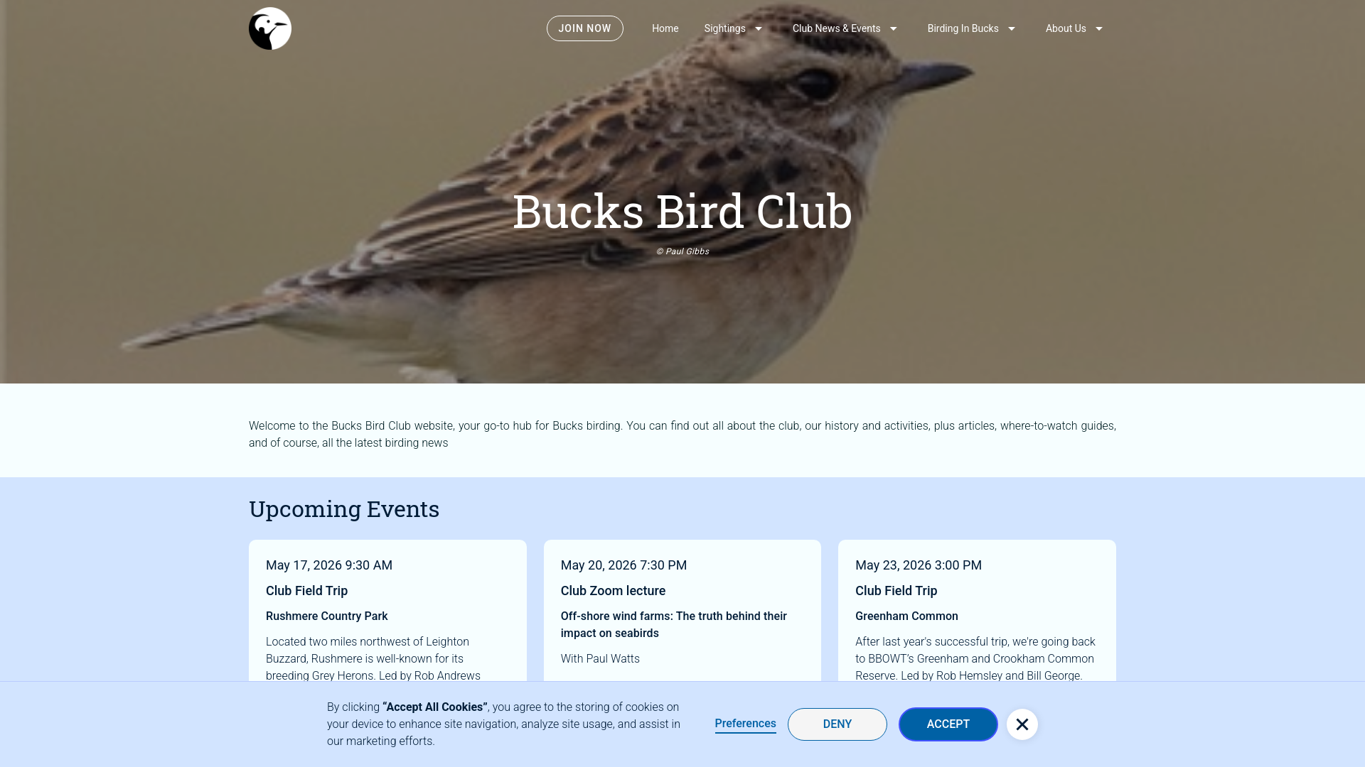 Website screenshot
