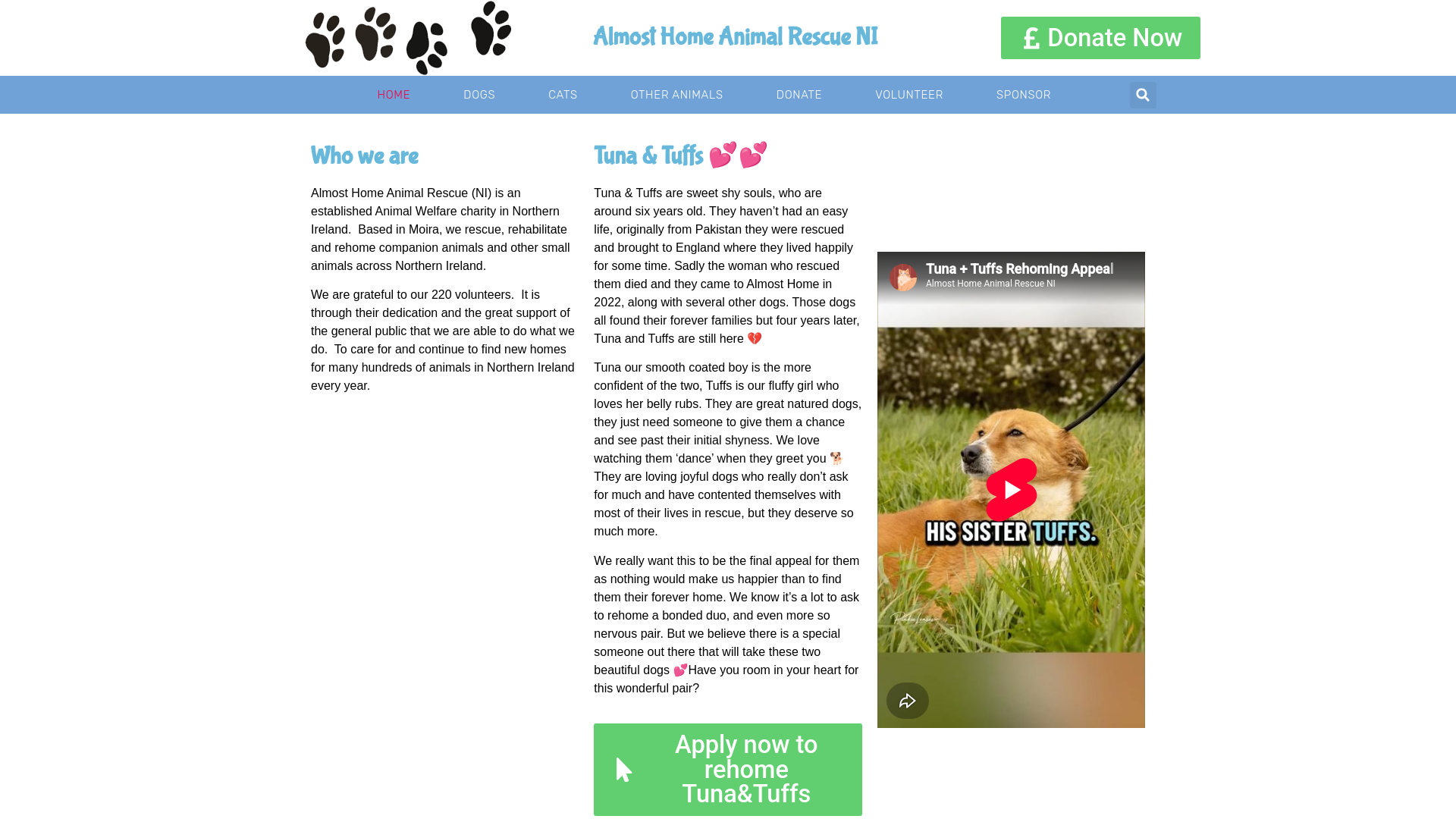 Website screenshot