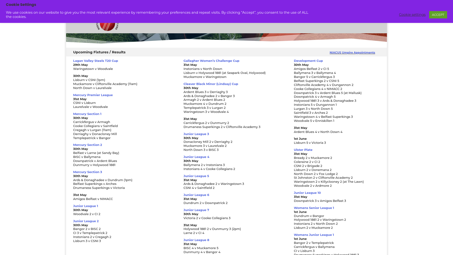 Website screenshot