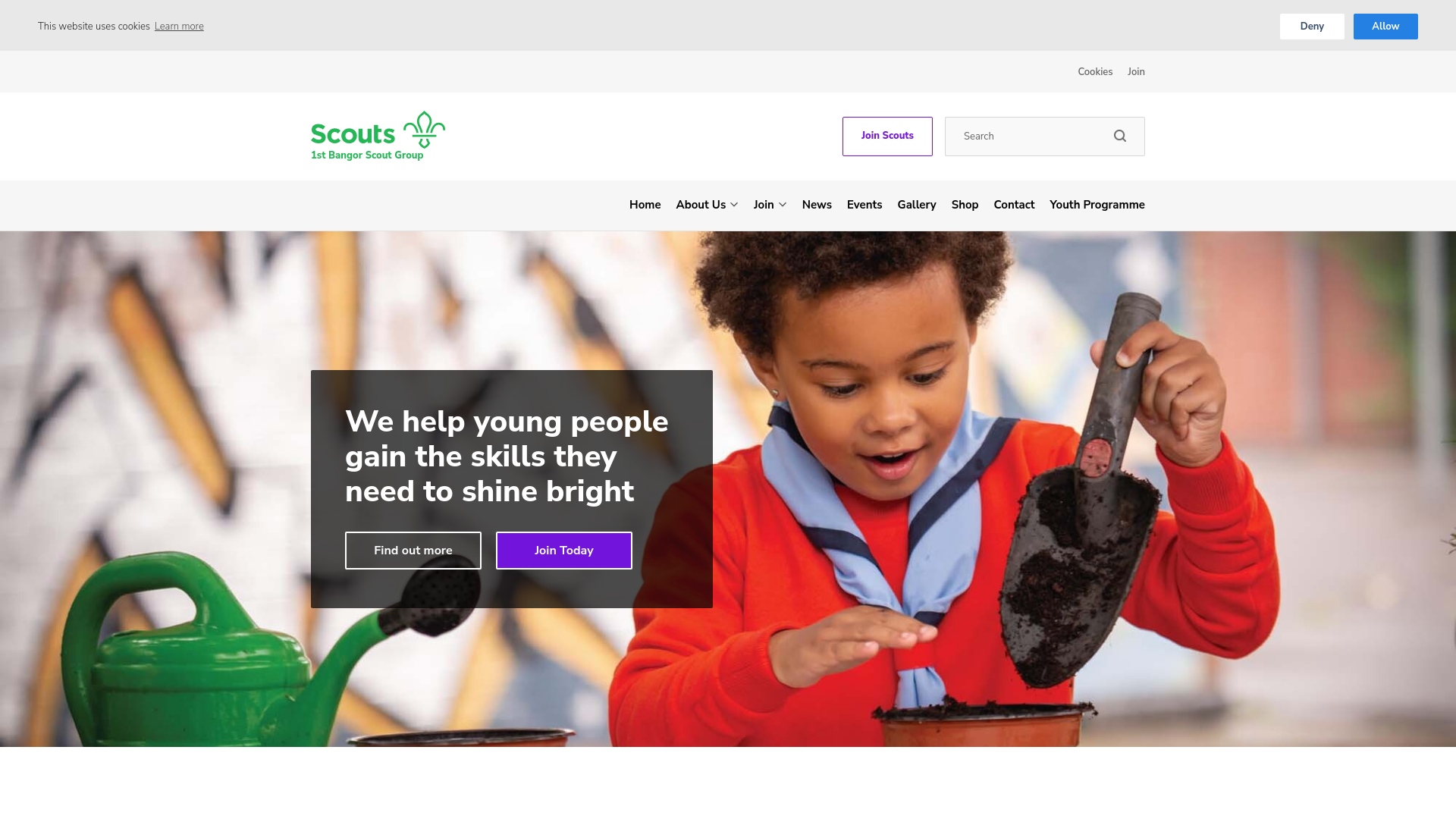 Website screenshot