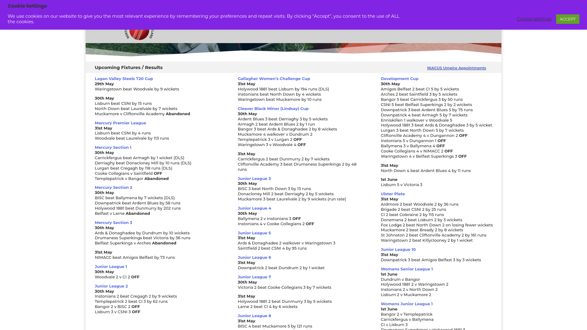 Website screenshot