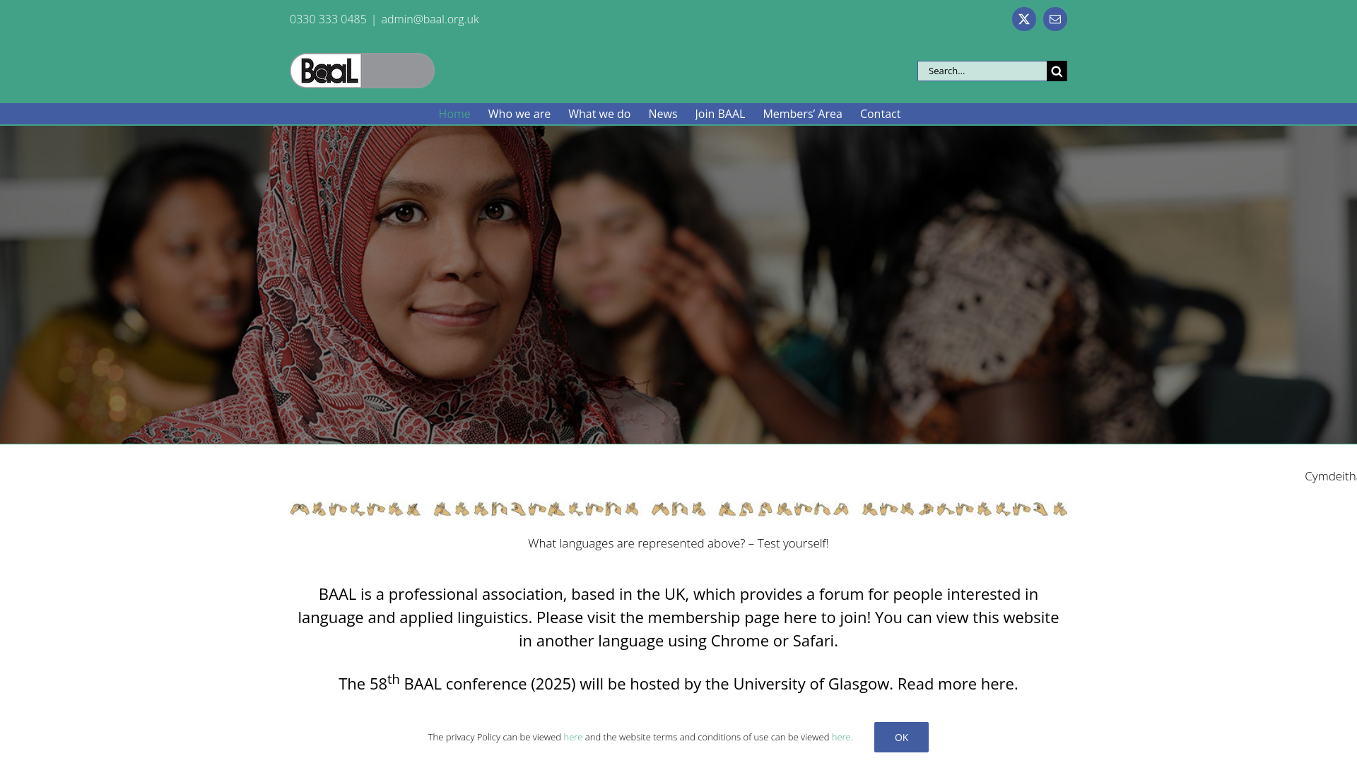 Website screenshot