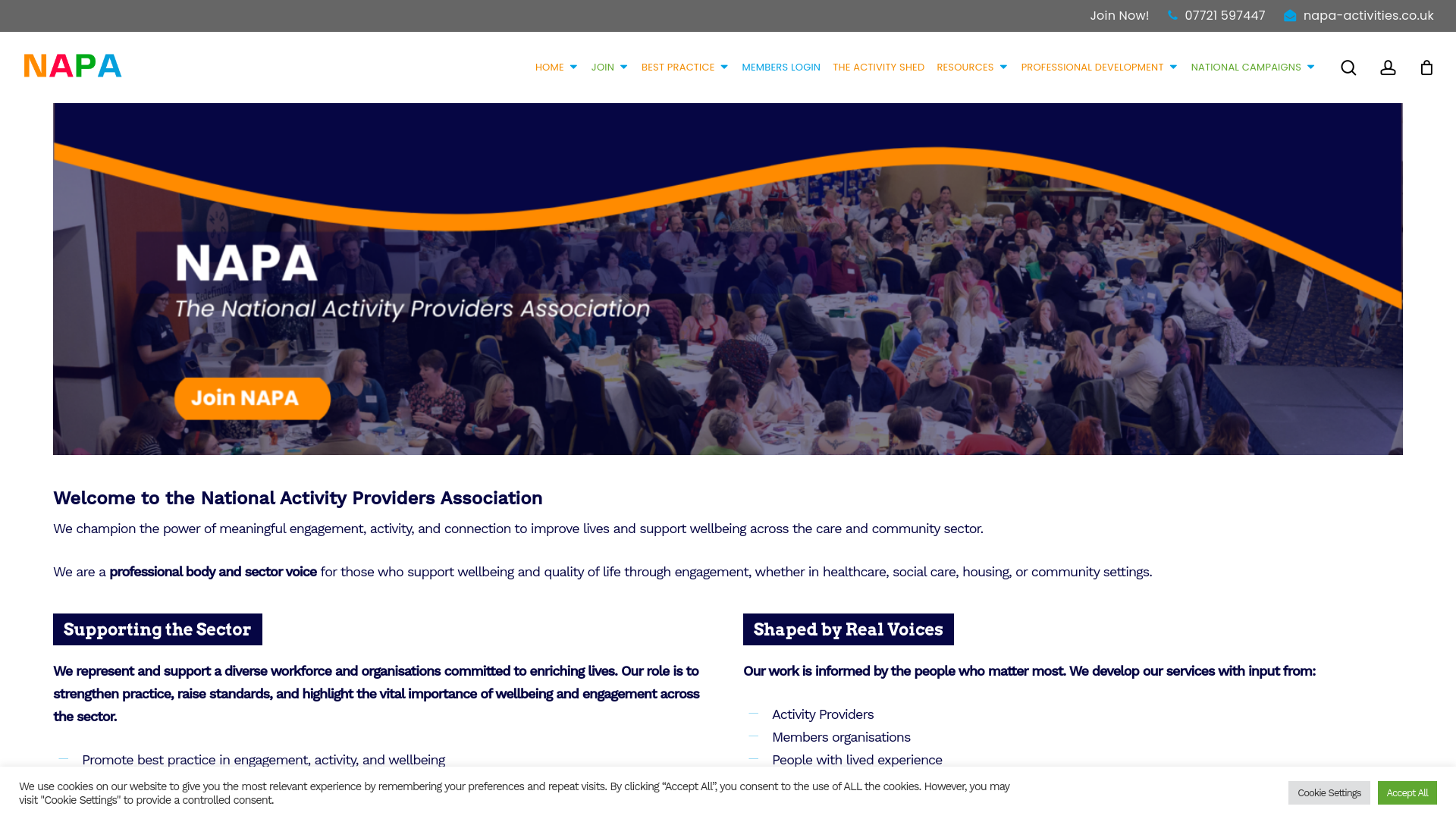Website screenshot