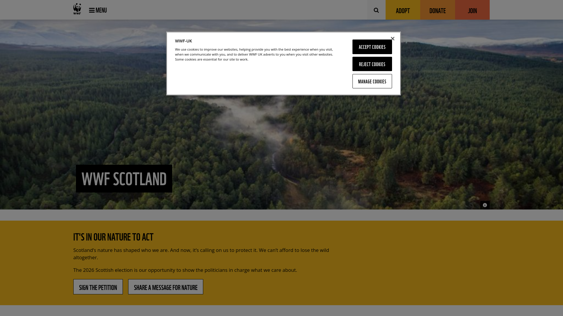 Website screenshot