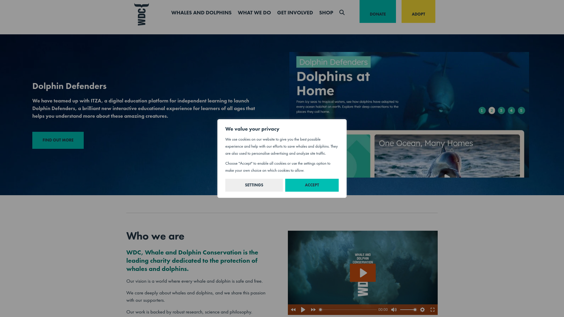 Website screenshot