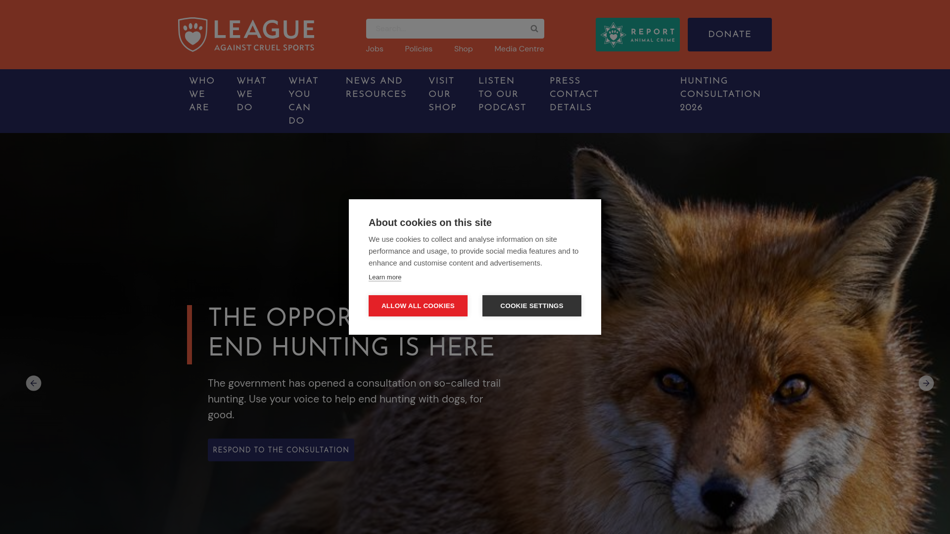 Website screenshot