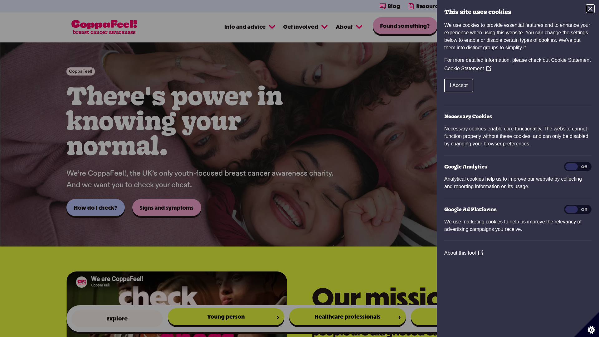 Website screenshot
