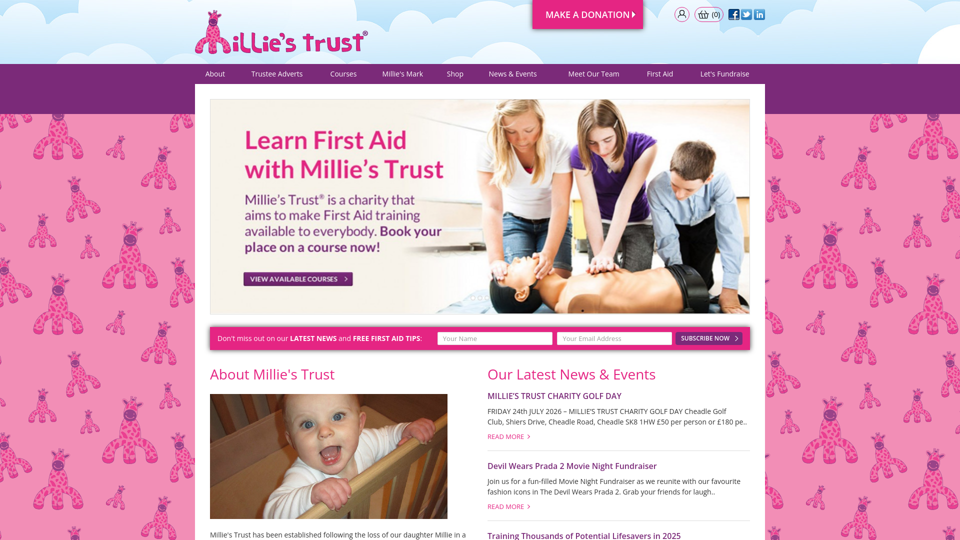 Website screenshot