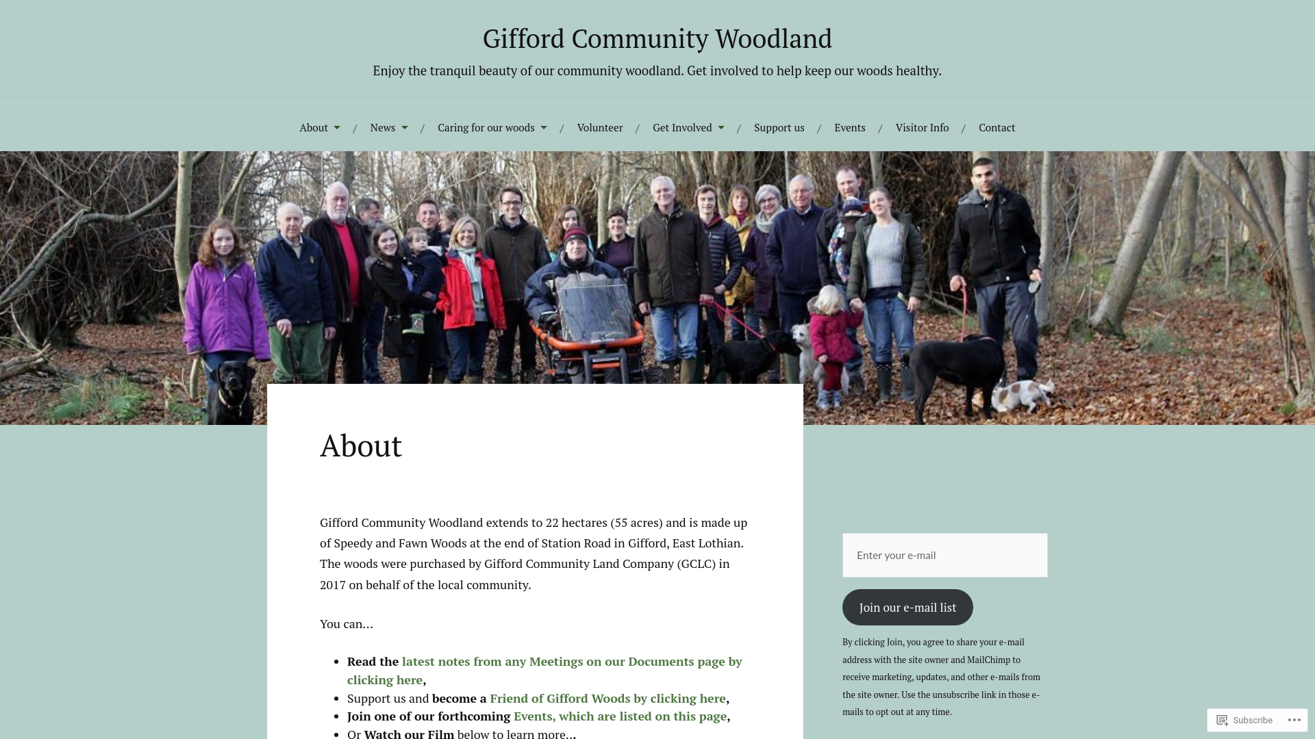 Website screenshot