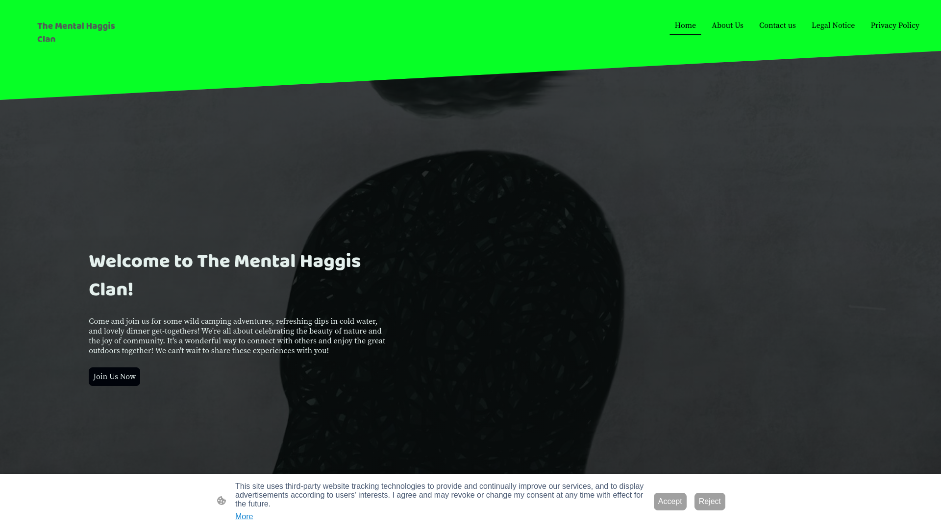 Website screenshot