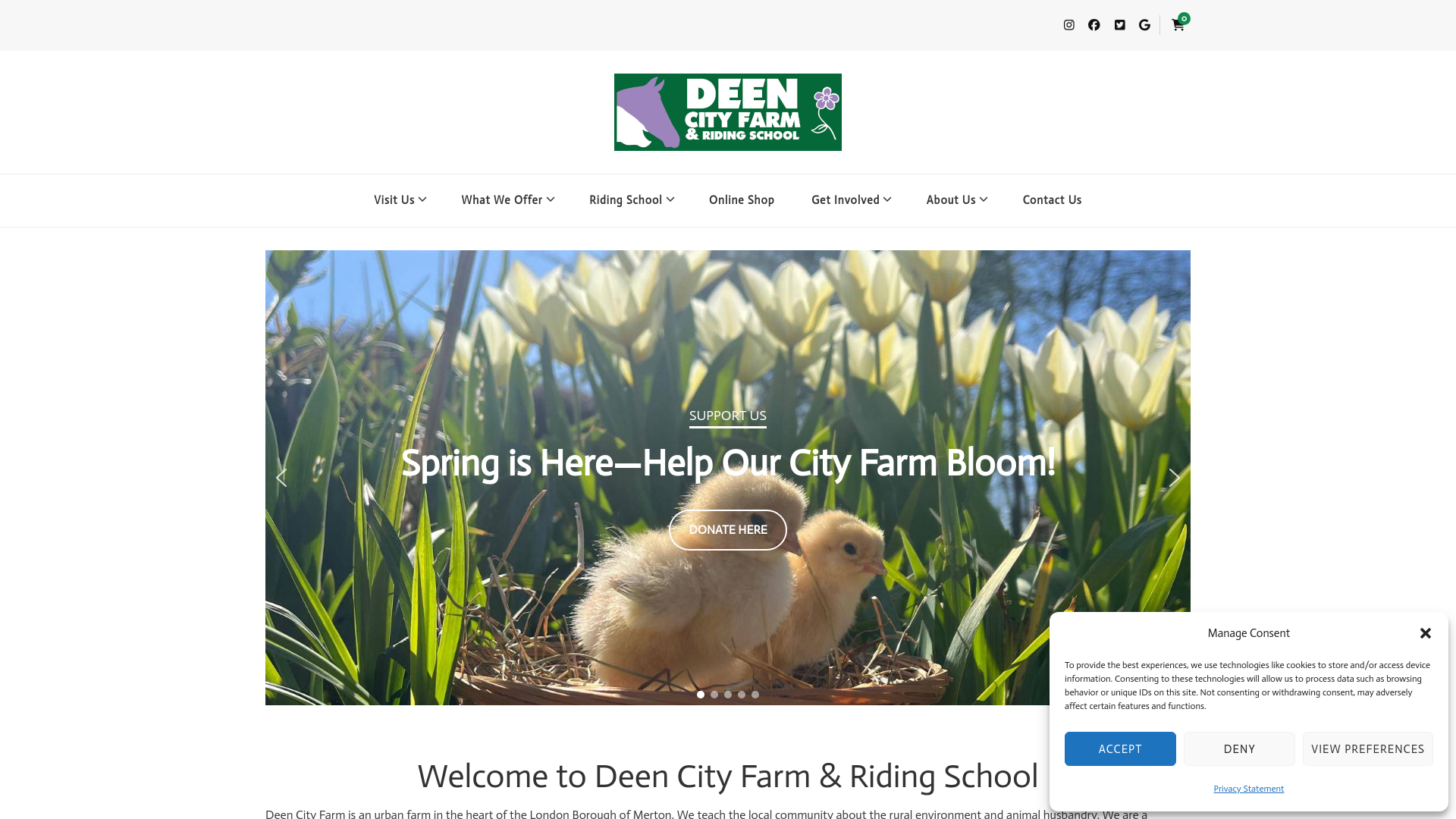 Website screenshot