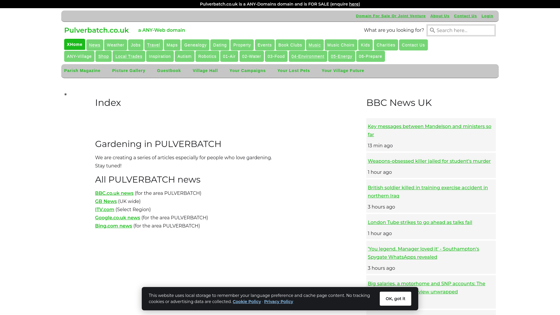 Website screenshot