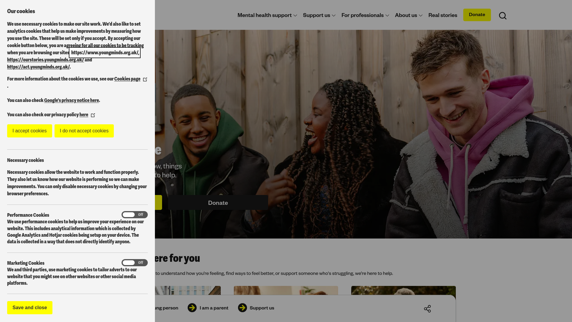 Website screenshot