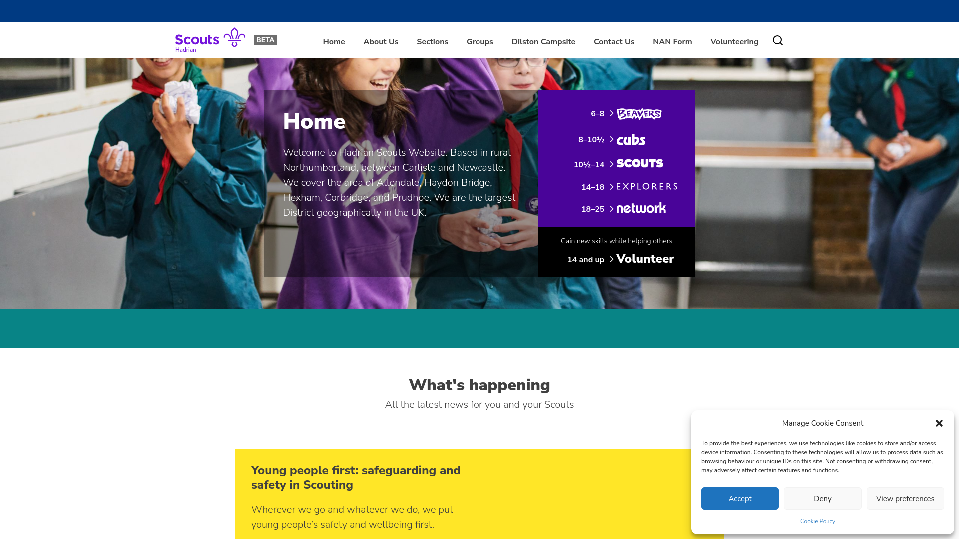 Website screenshot