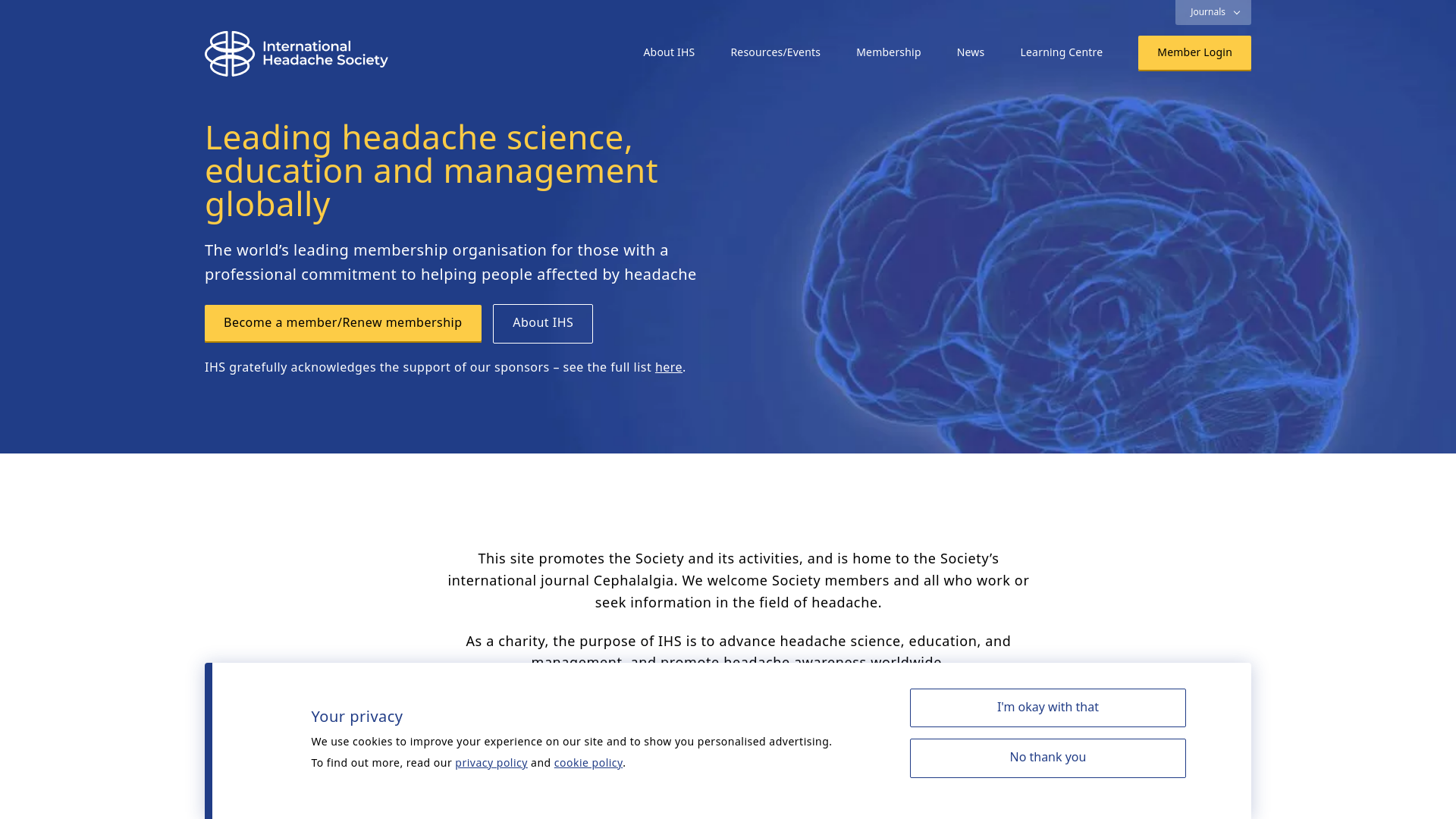 Website screenshot