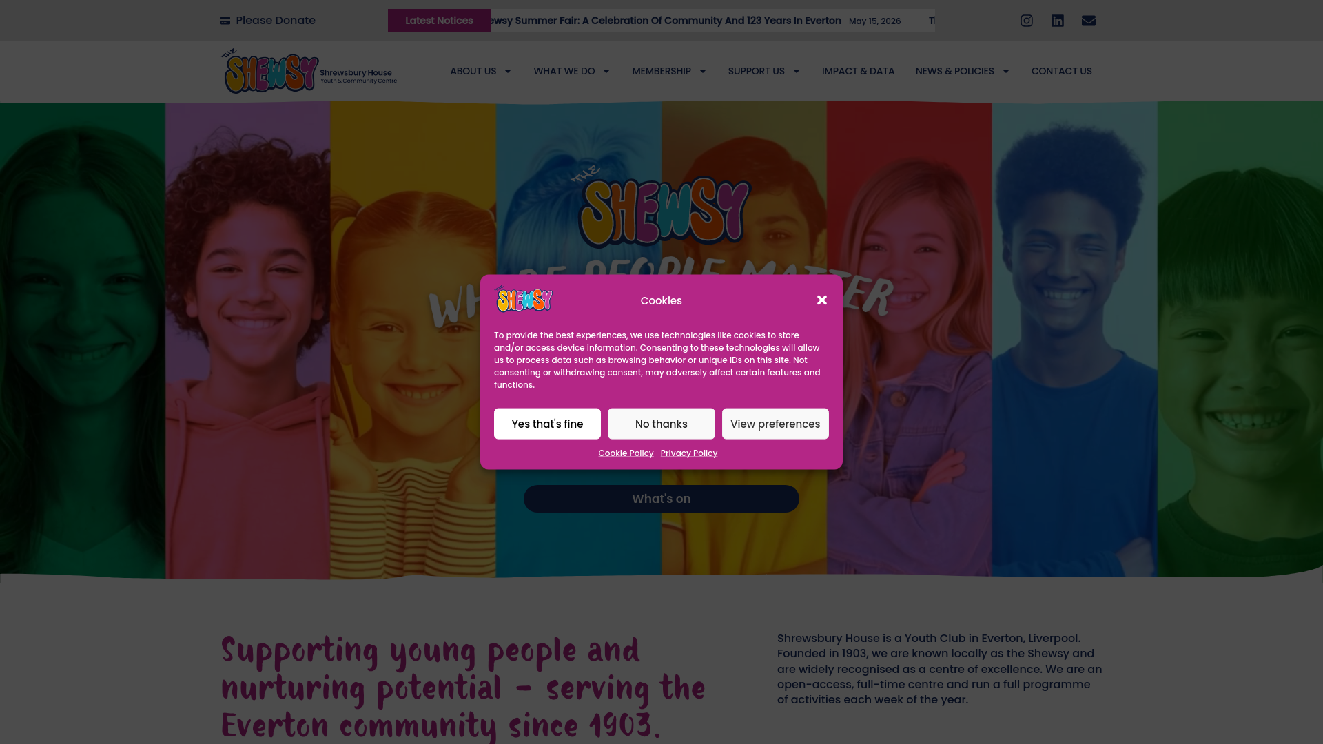 Website screenshot