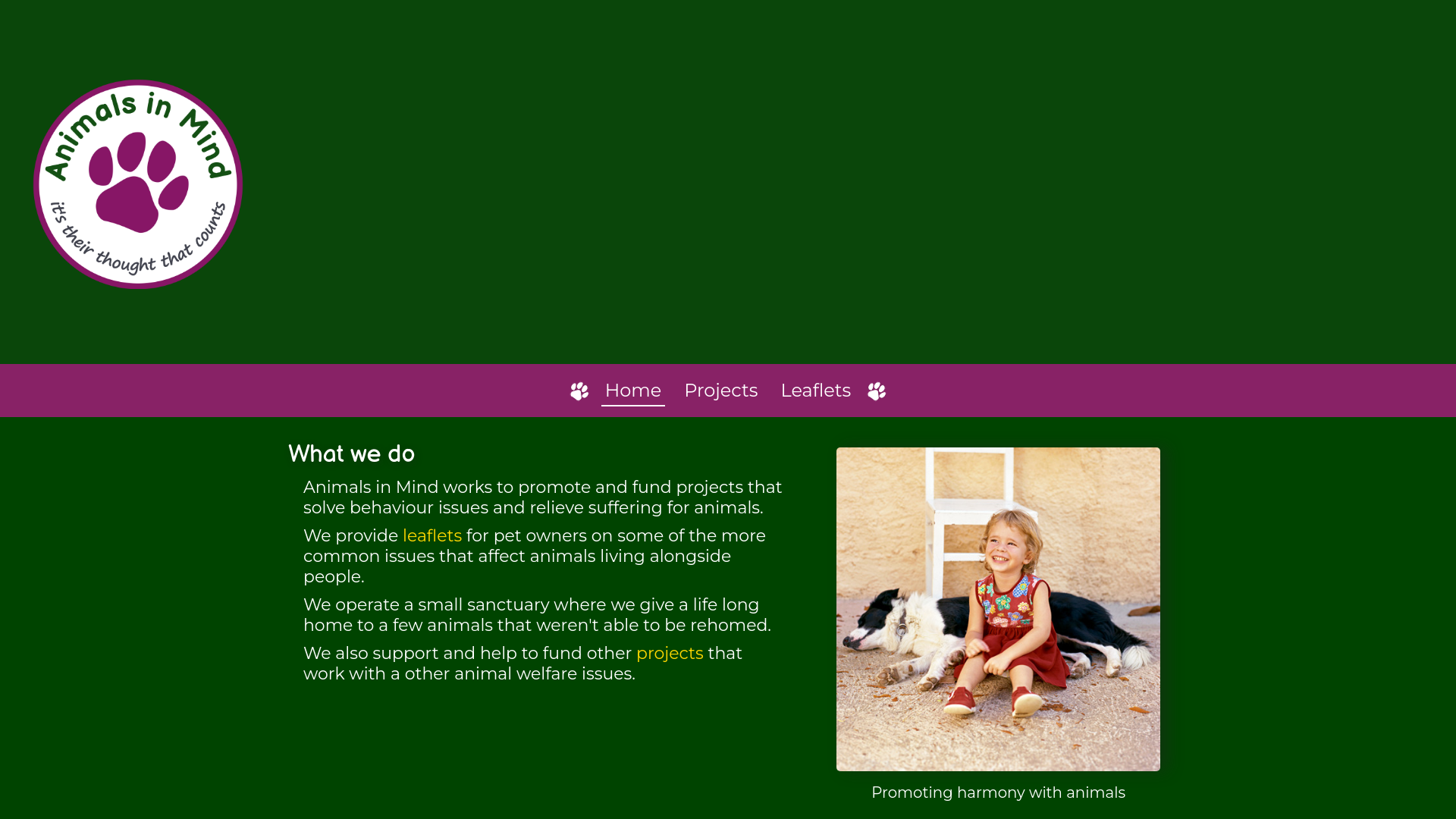Website screenshot