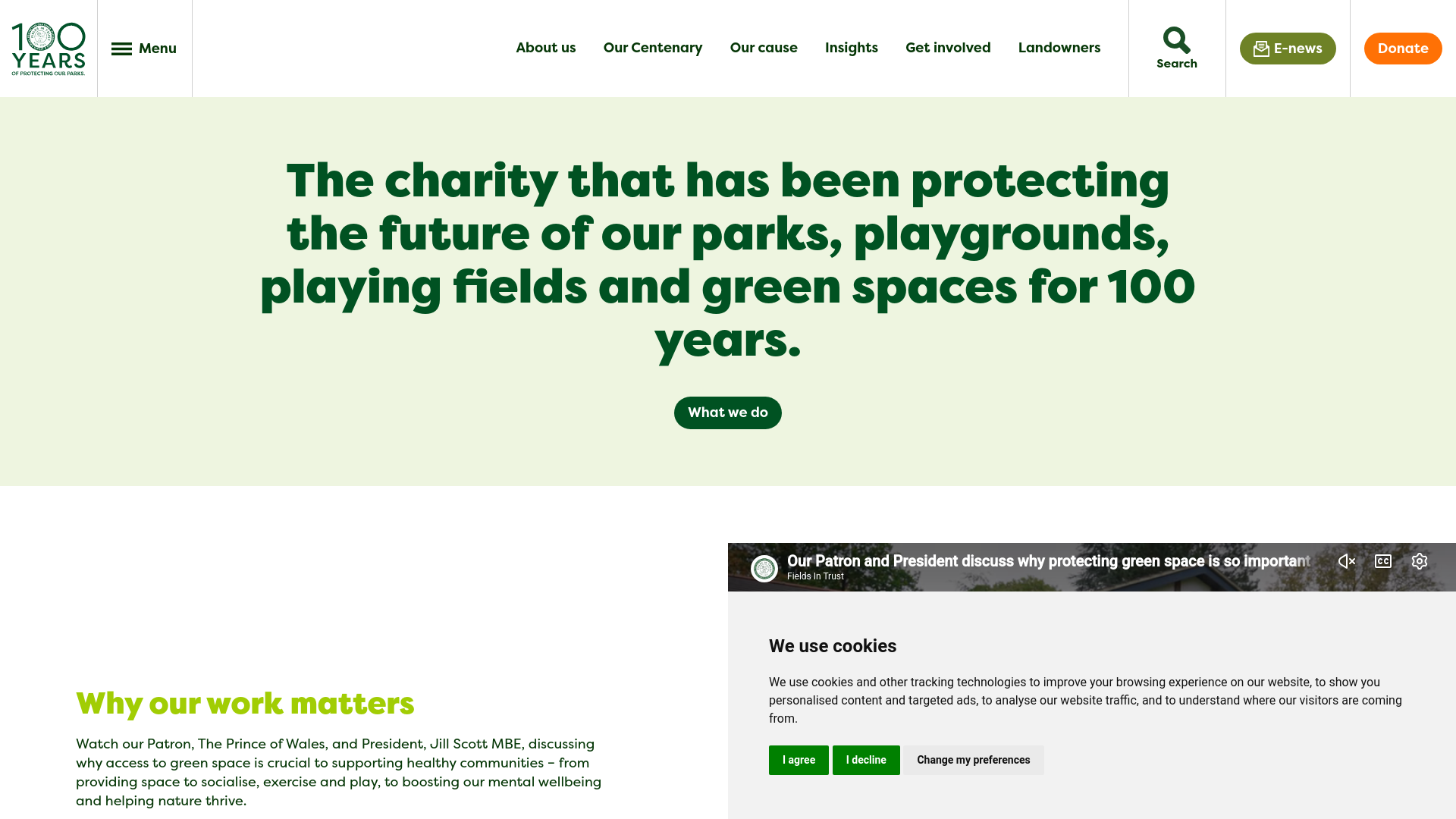Website screenshot
