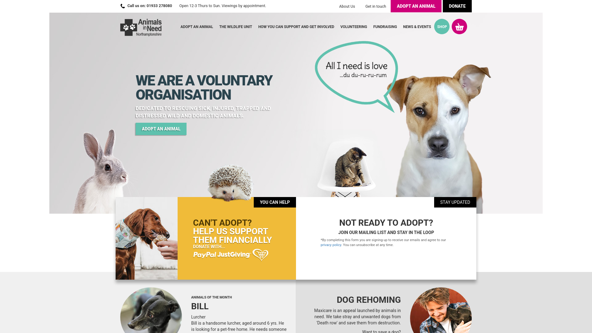 Website screenshot