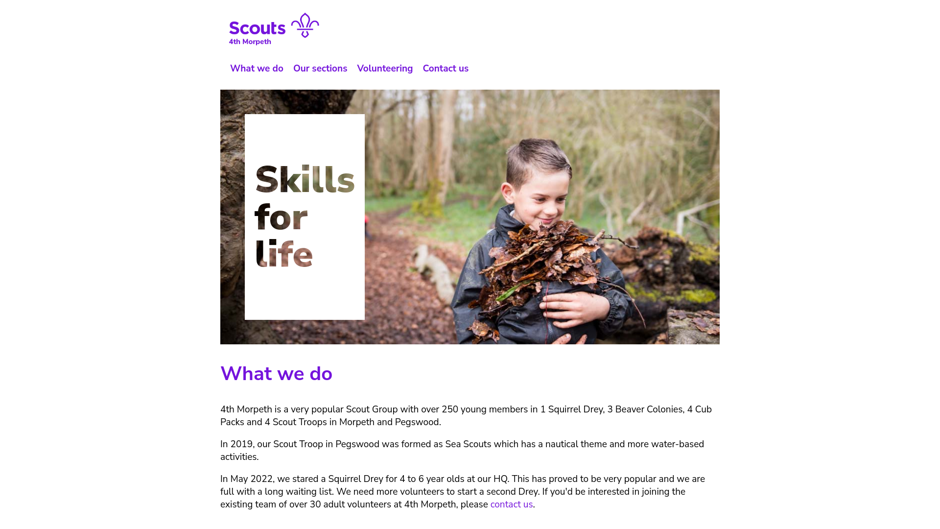 Website screenshot