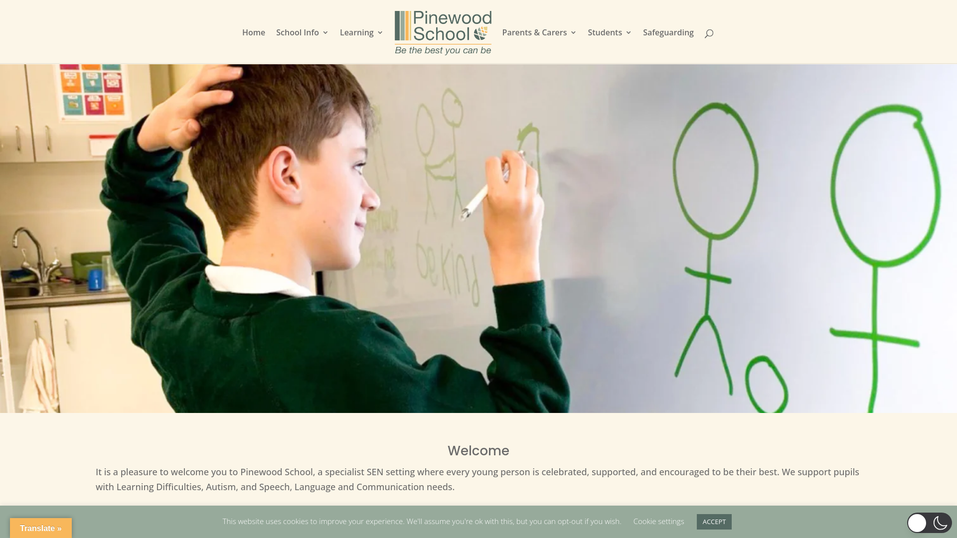 Website screenshot