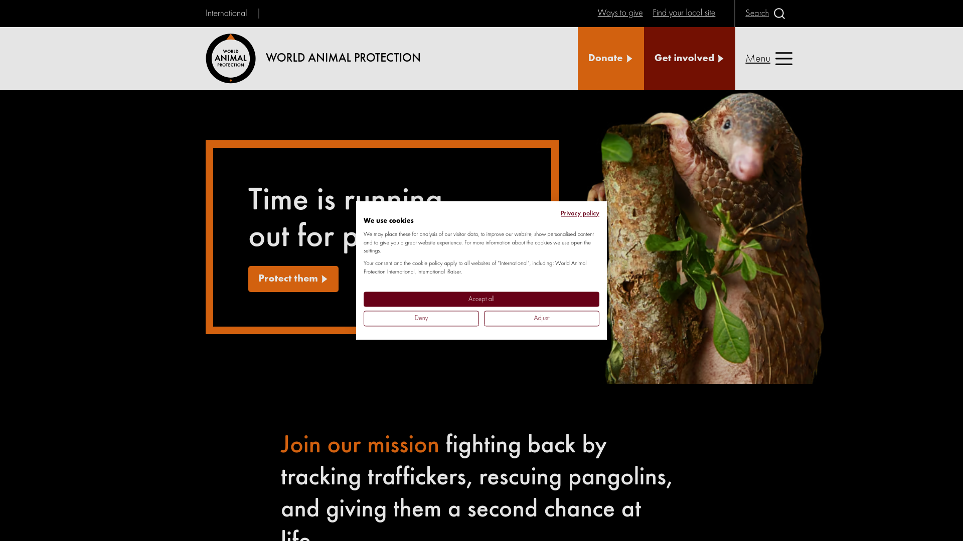 Website screenshot