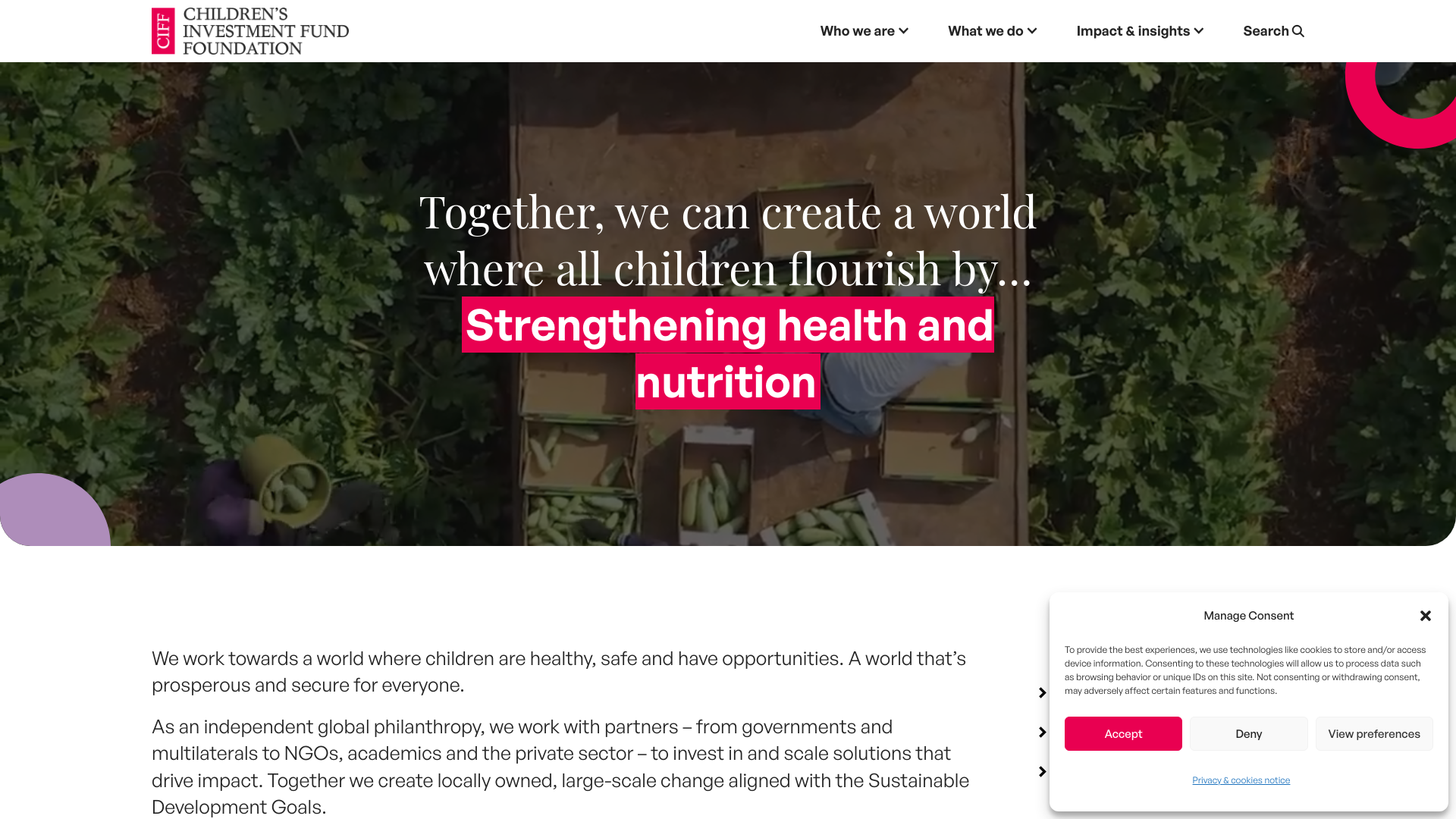 Website screenshot