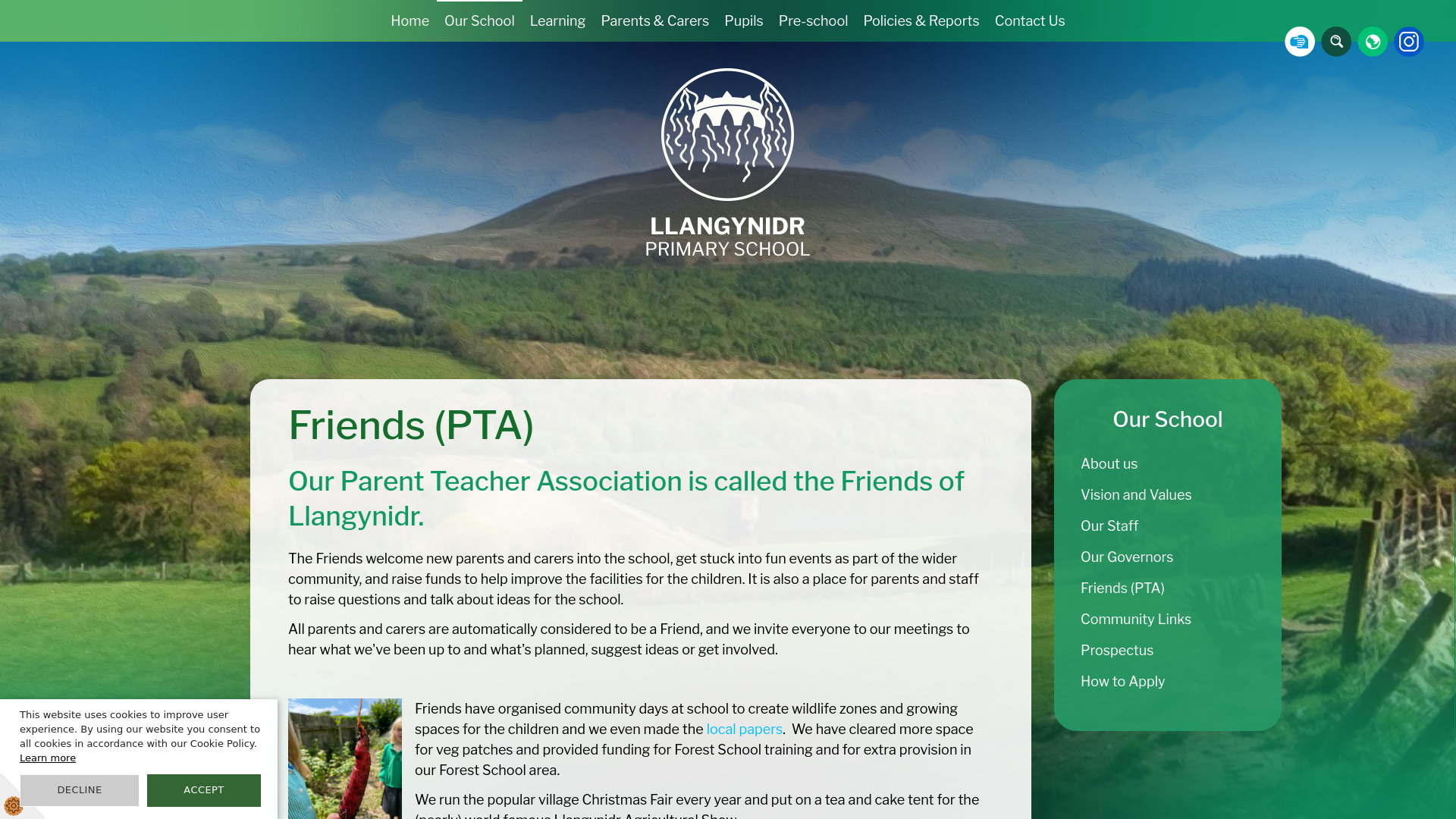 Website screenshot