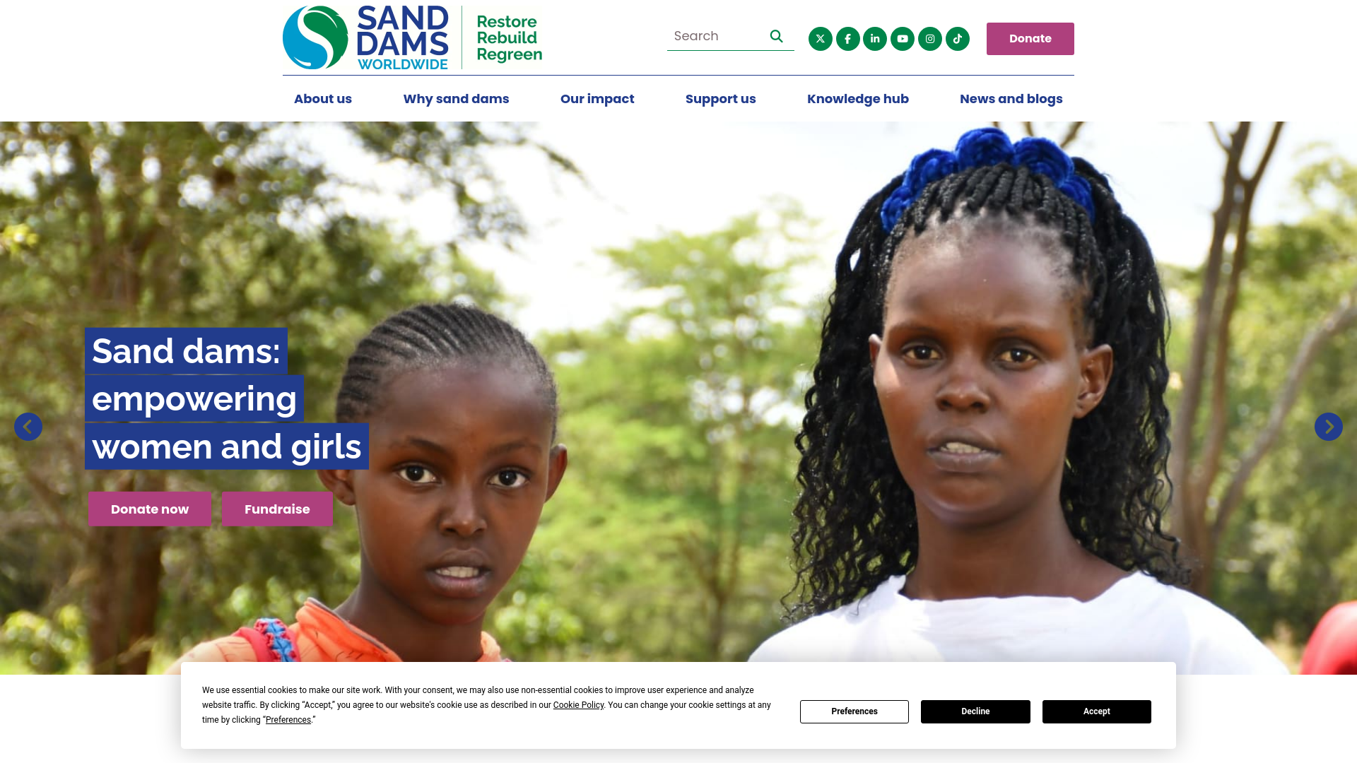 Website screenshot