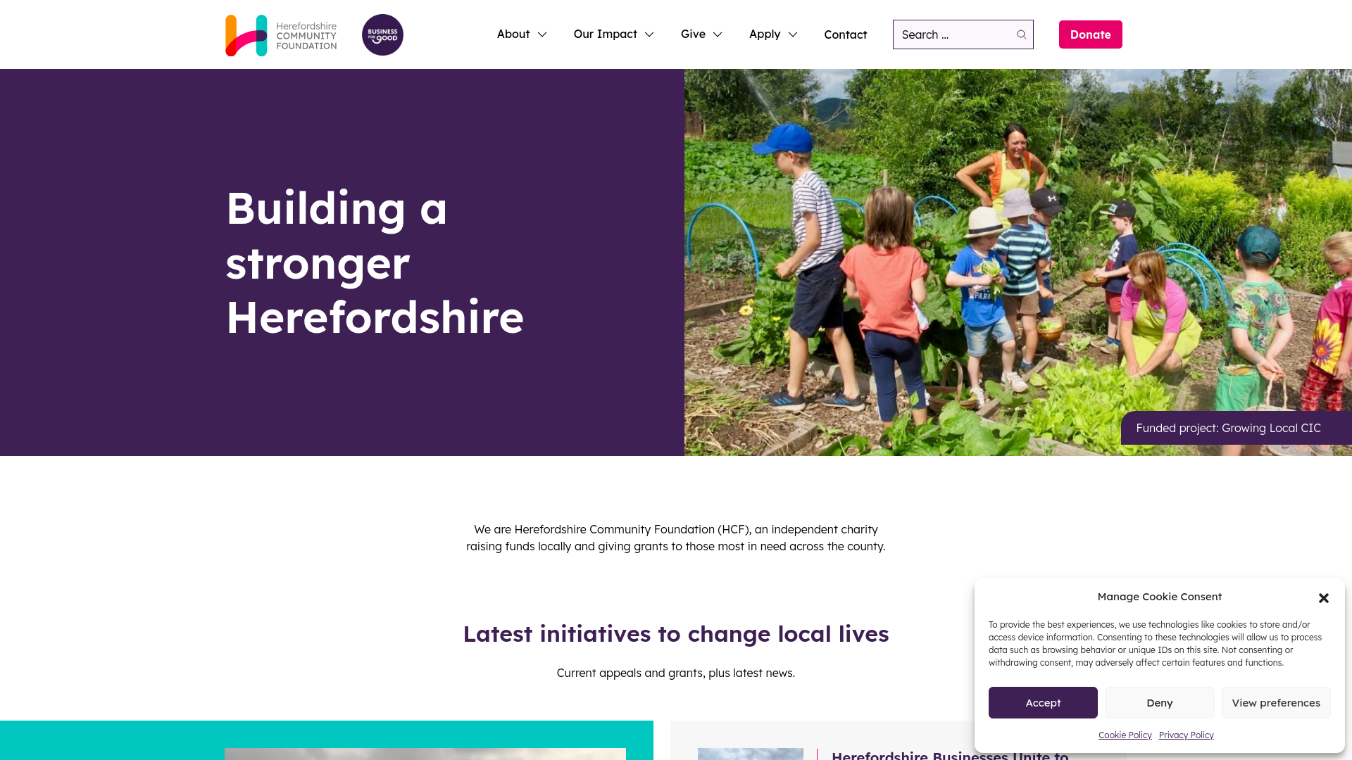Website screenshot