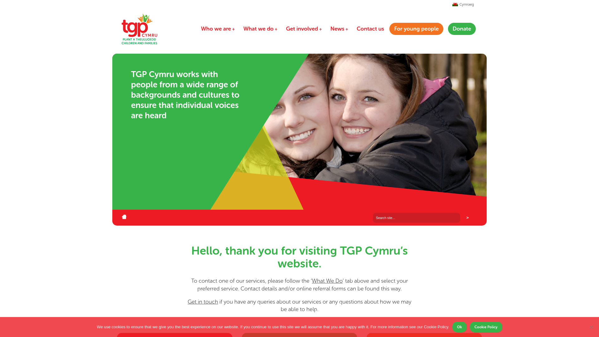 Website screenshot