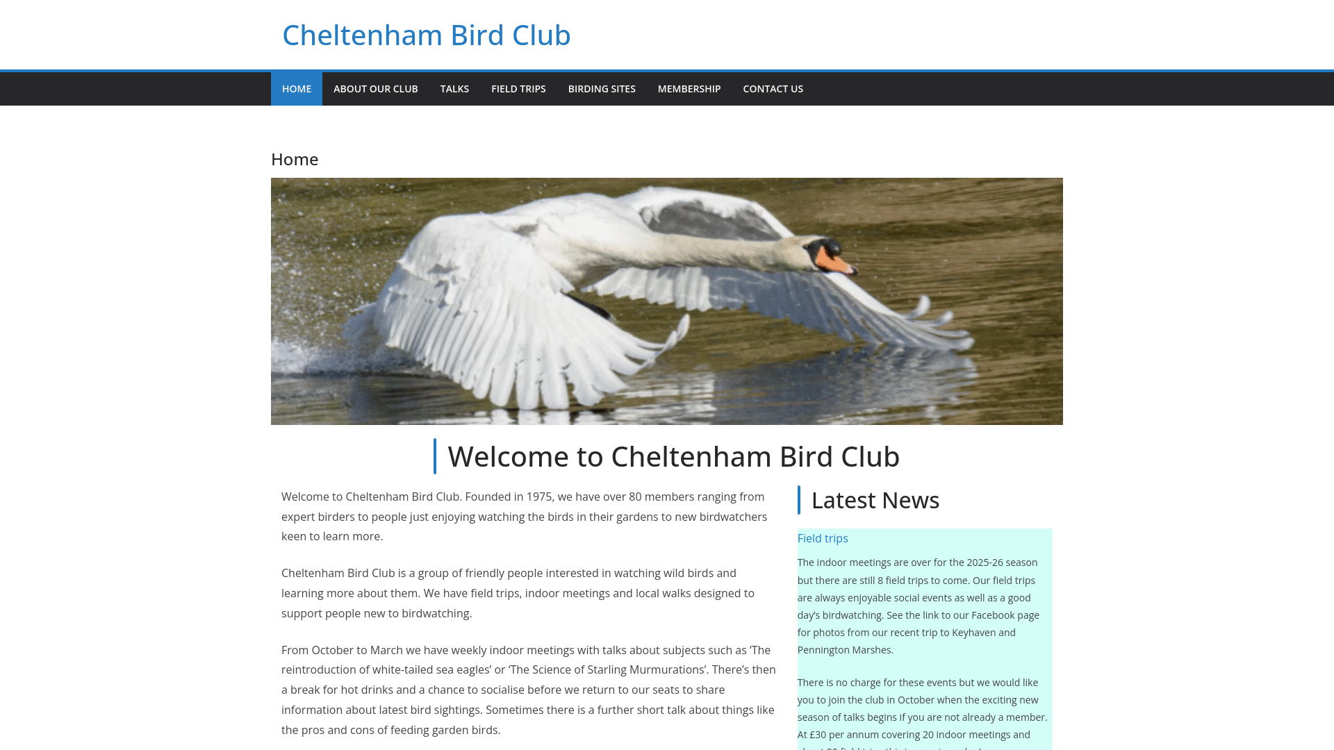 Website screenshot