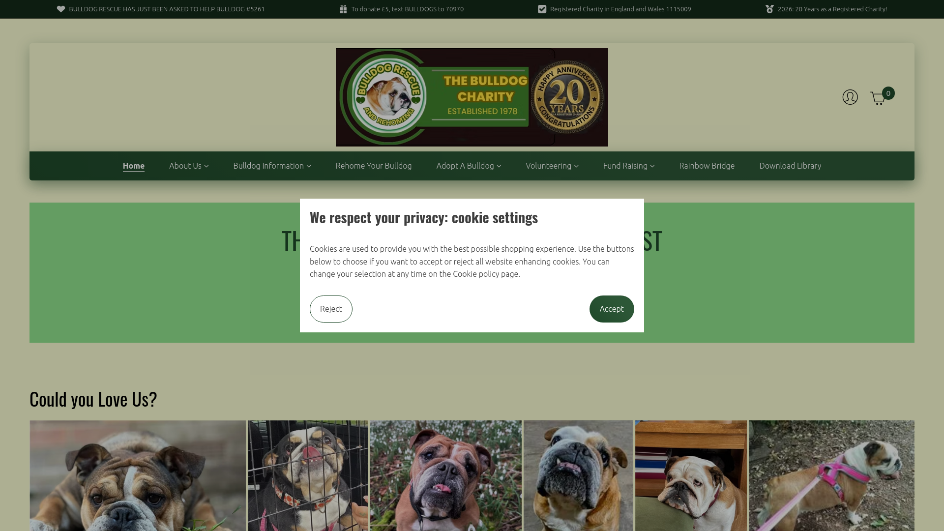 Website screenshot