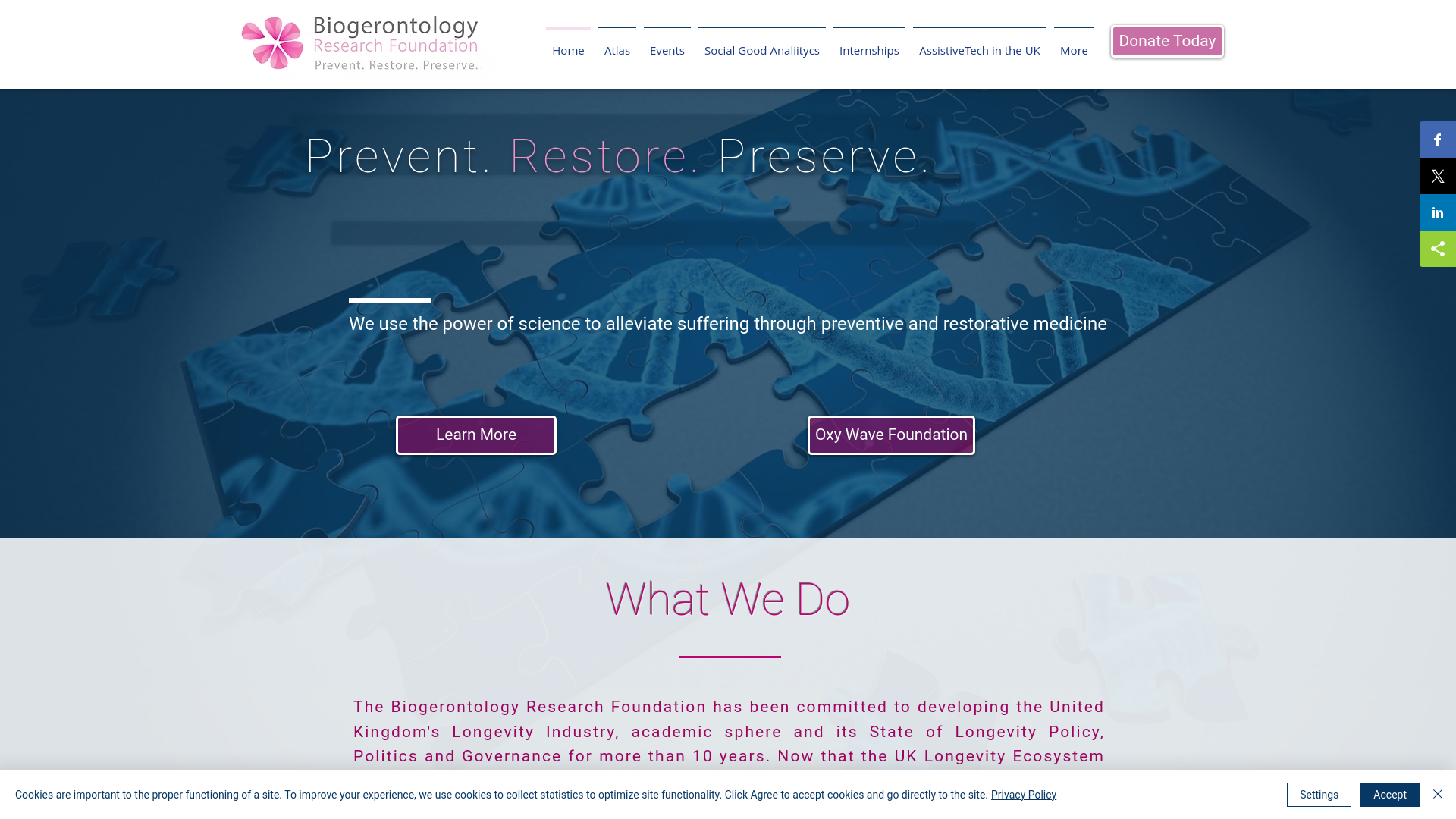 Website screenshot