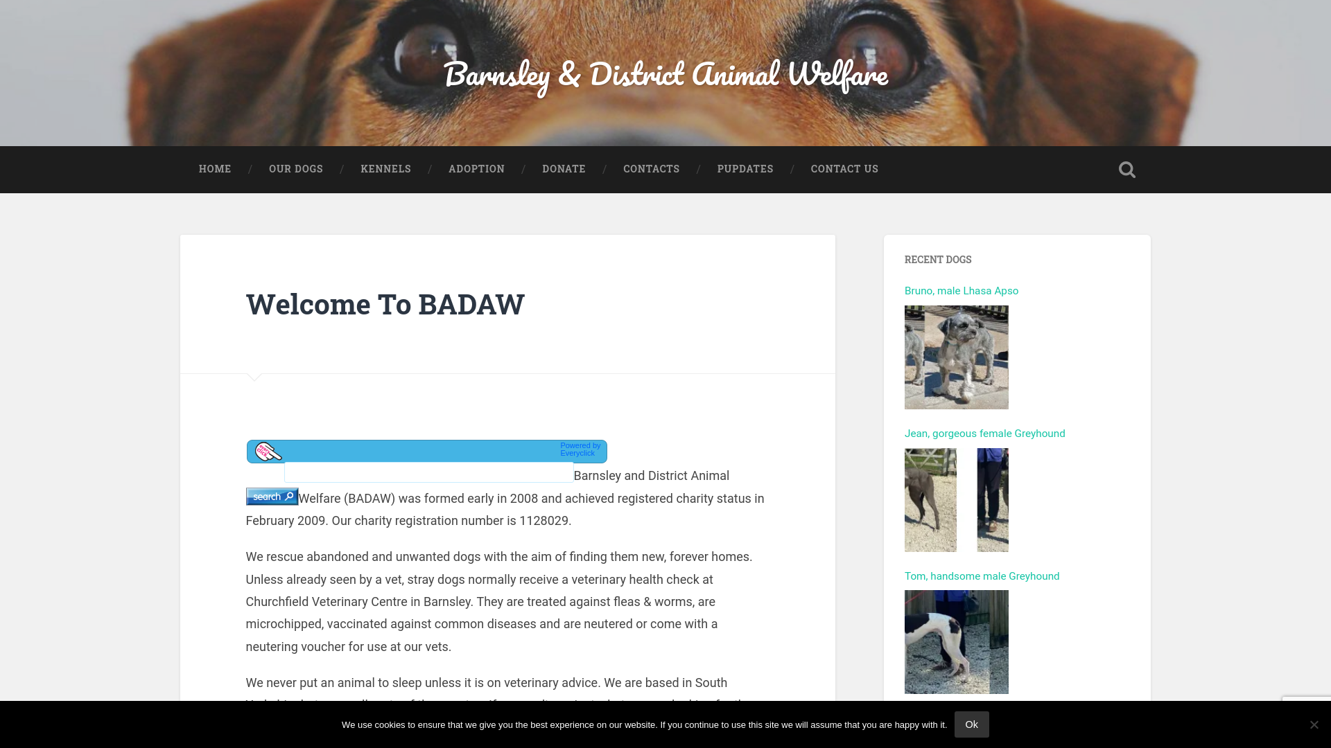 Website screenshot