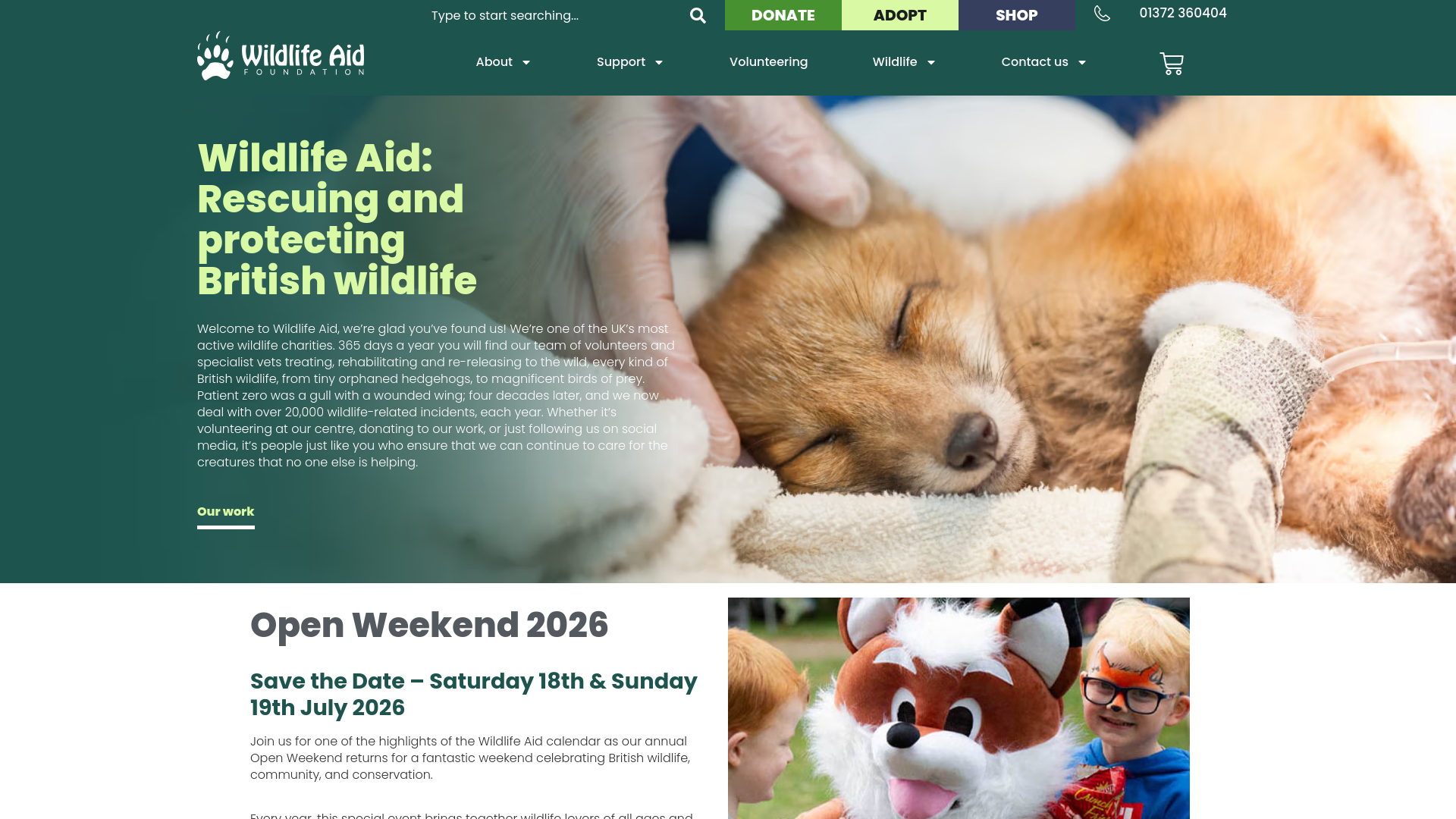 Website screenshot