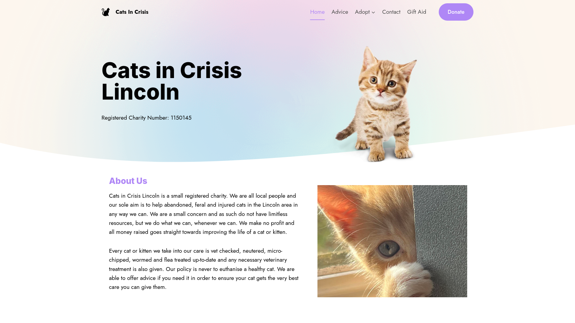 Website screenshot