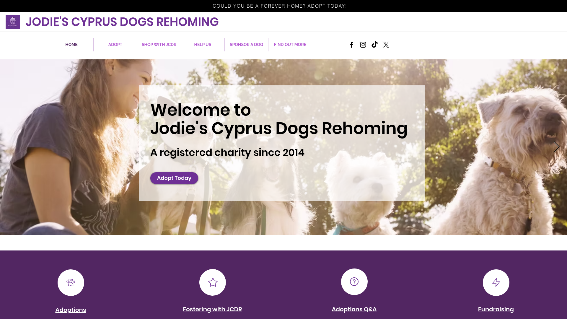 Website screenshot
