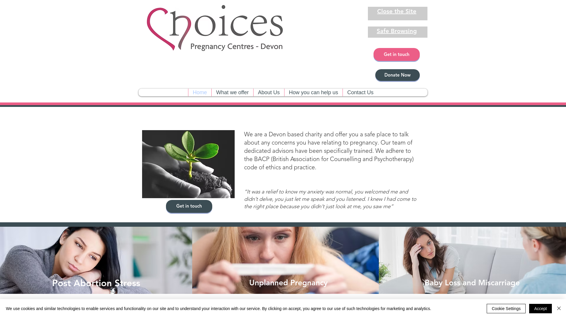 Website screenshot