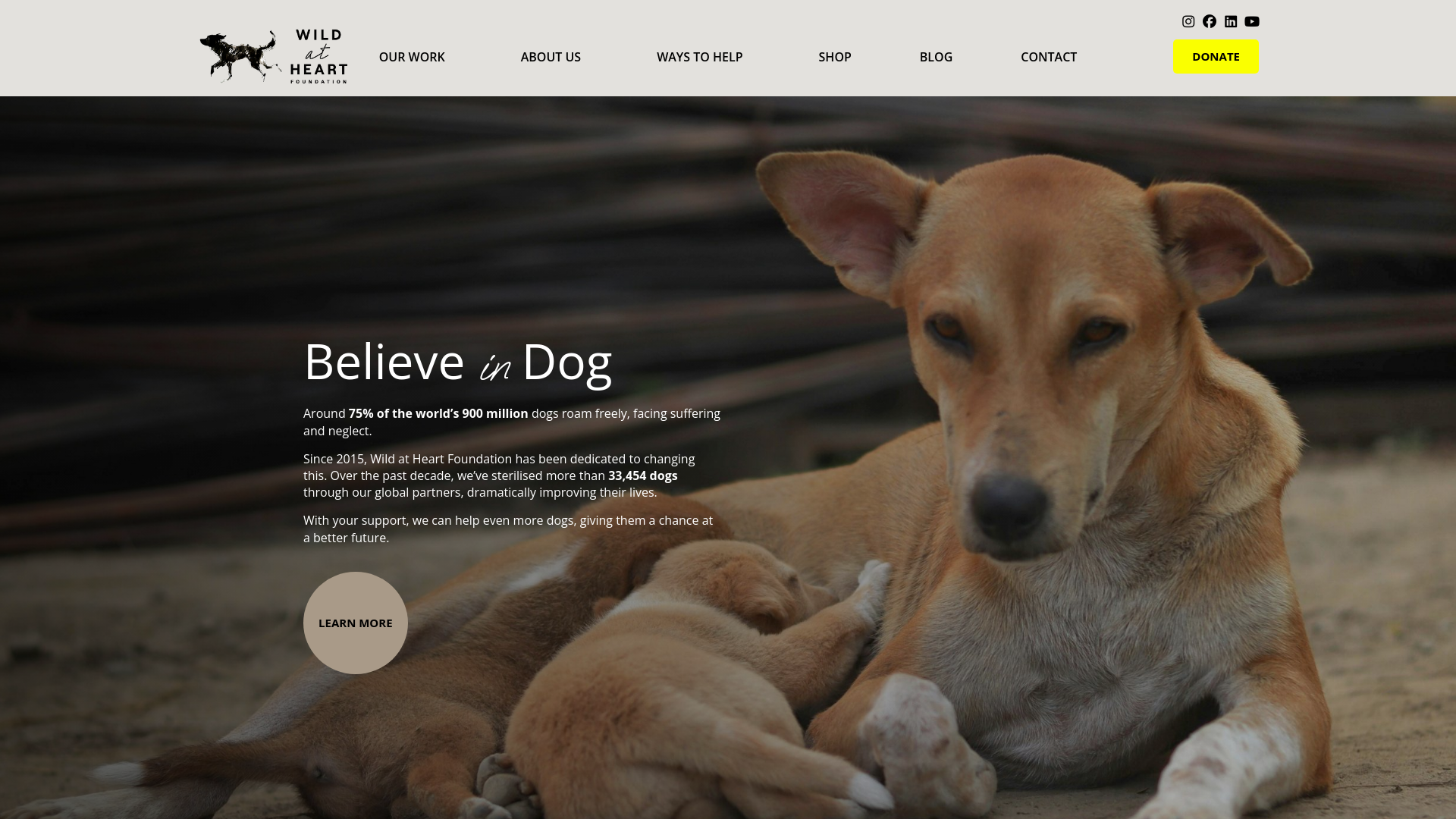 Website screenshot