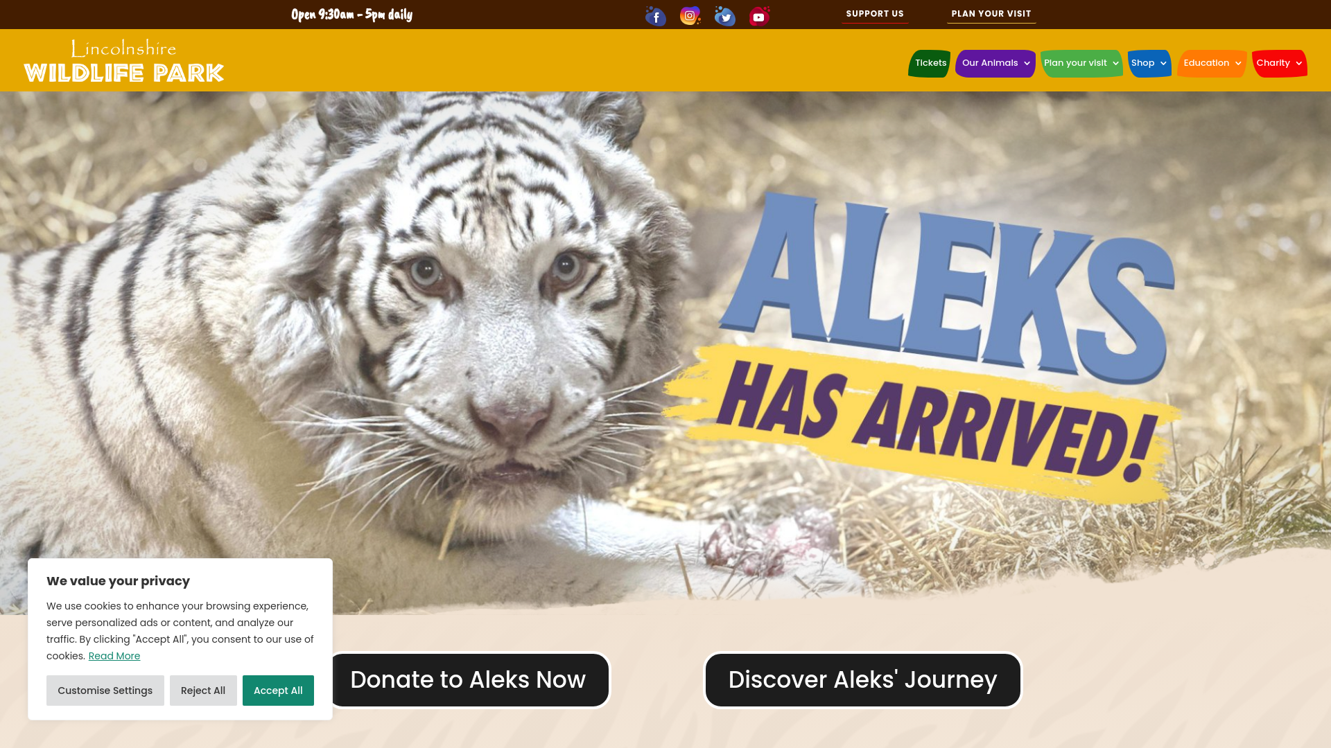 Website screenshot