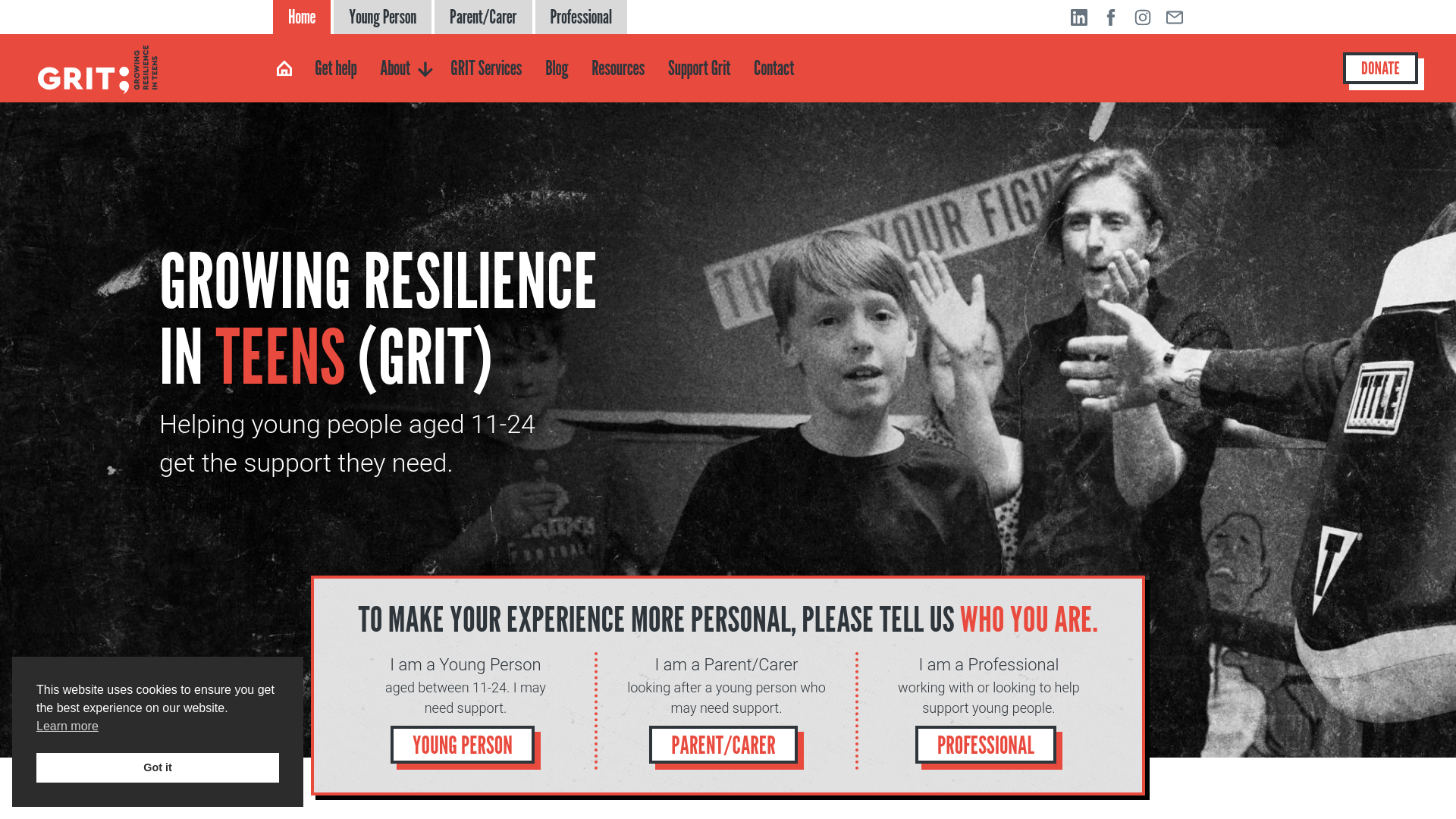 Website screenshot