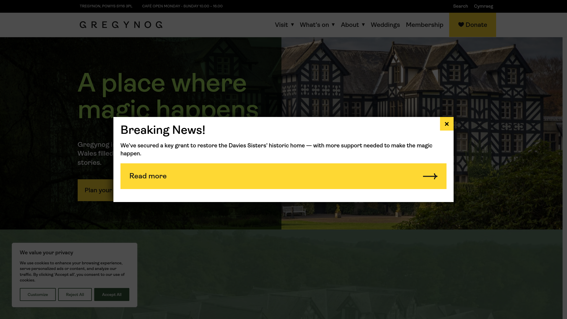 Website screenshot