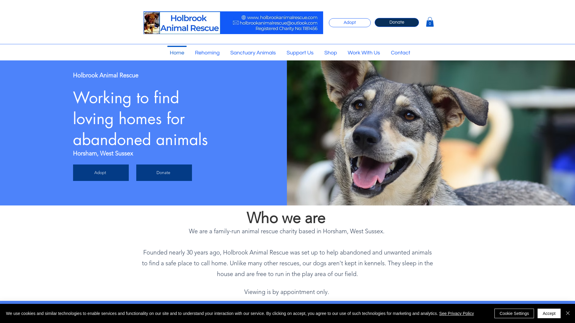 Website screenshot