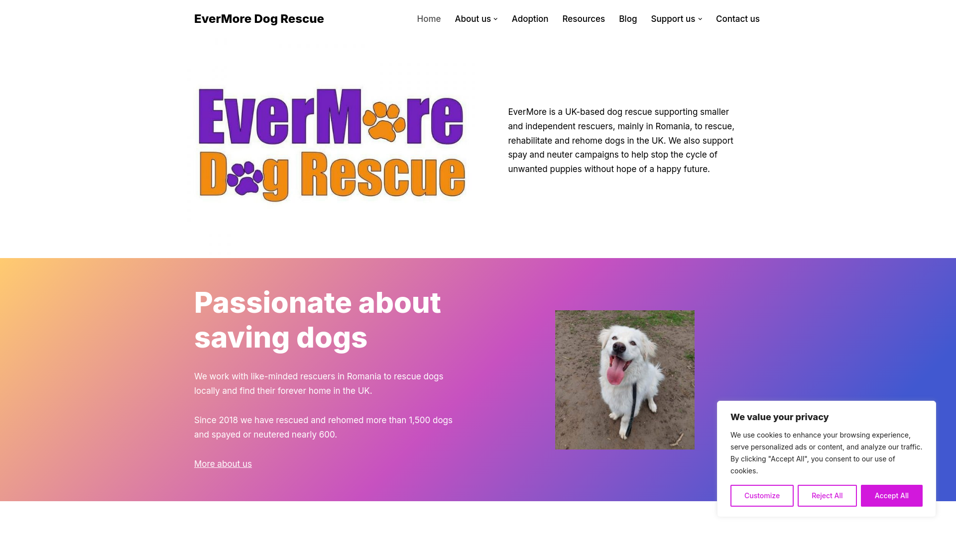Website screenshot